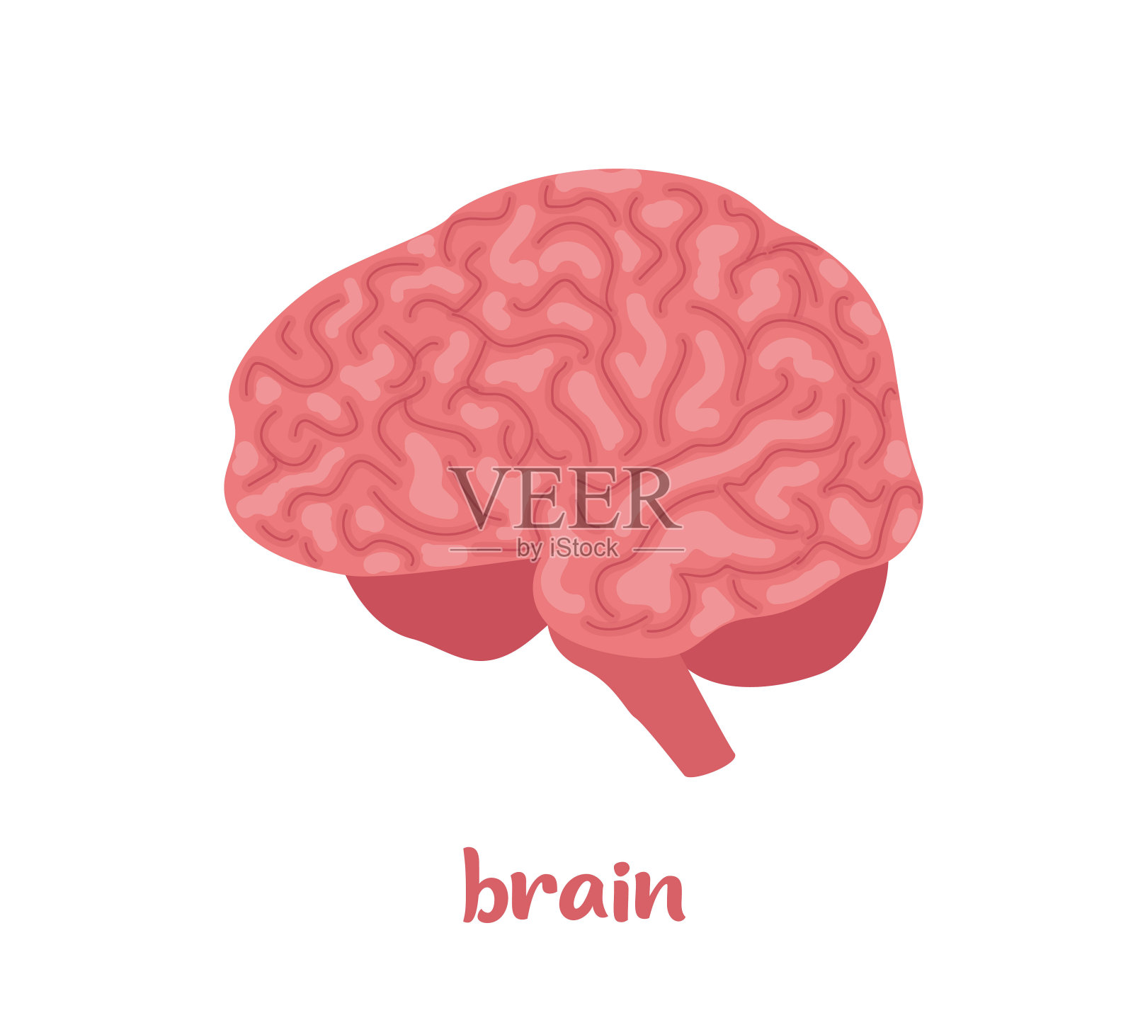 人类的大脑。内部器官,解剖学。矢量平面图标插图孤立在白色背景上。设计元素图片