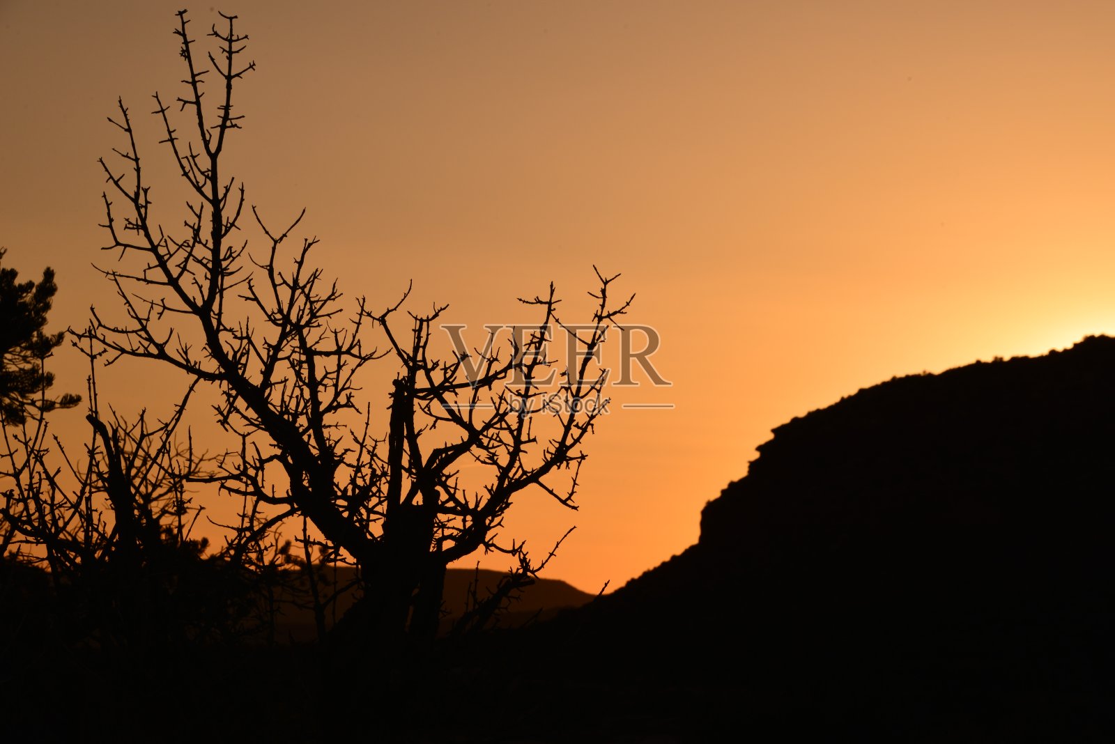 裸露的剪影树在戏剧性的日落天空照片摄影图片