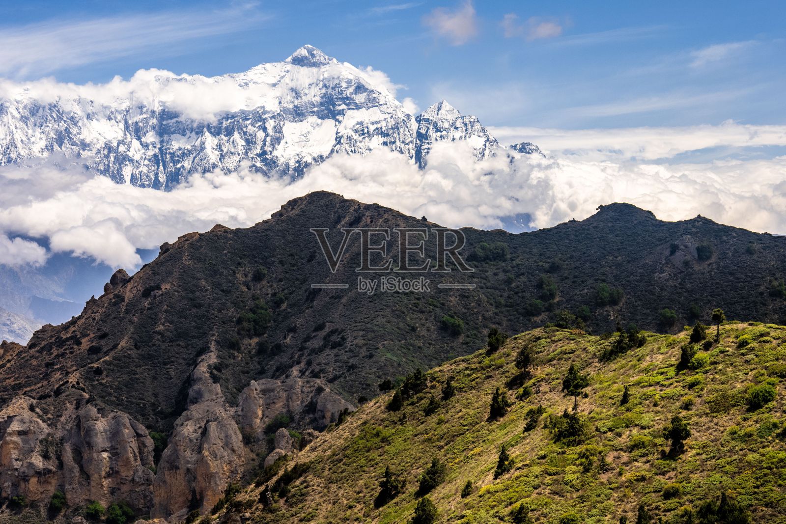 在野马王国的安纳普尔纳山和尼尔吉里山的积雪，绿色，阴影照片摄影图片