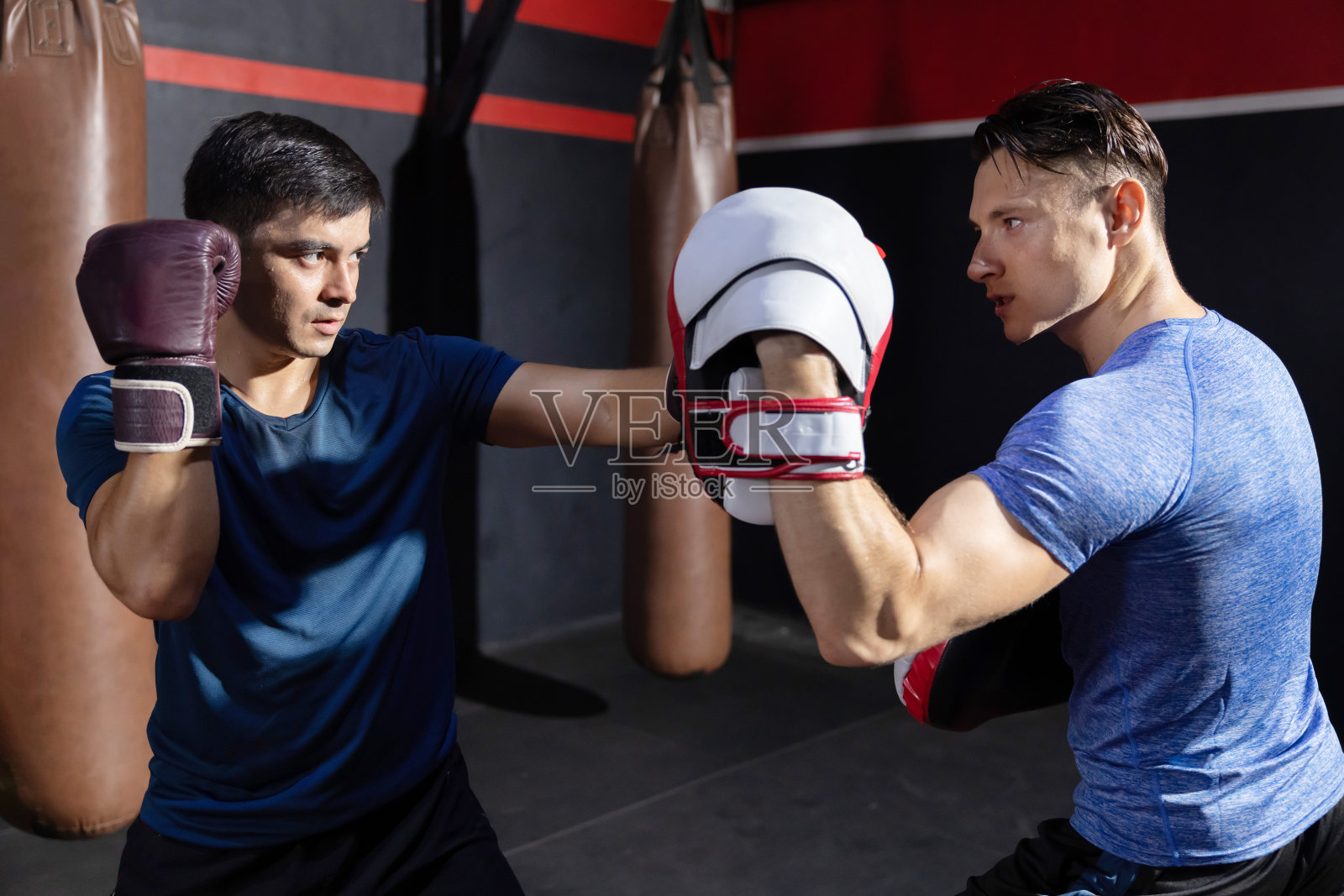 两个拳击手在拳击馆里对打照片摄影图片