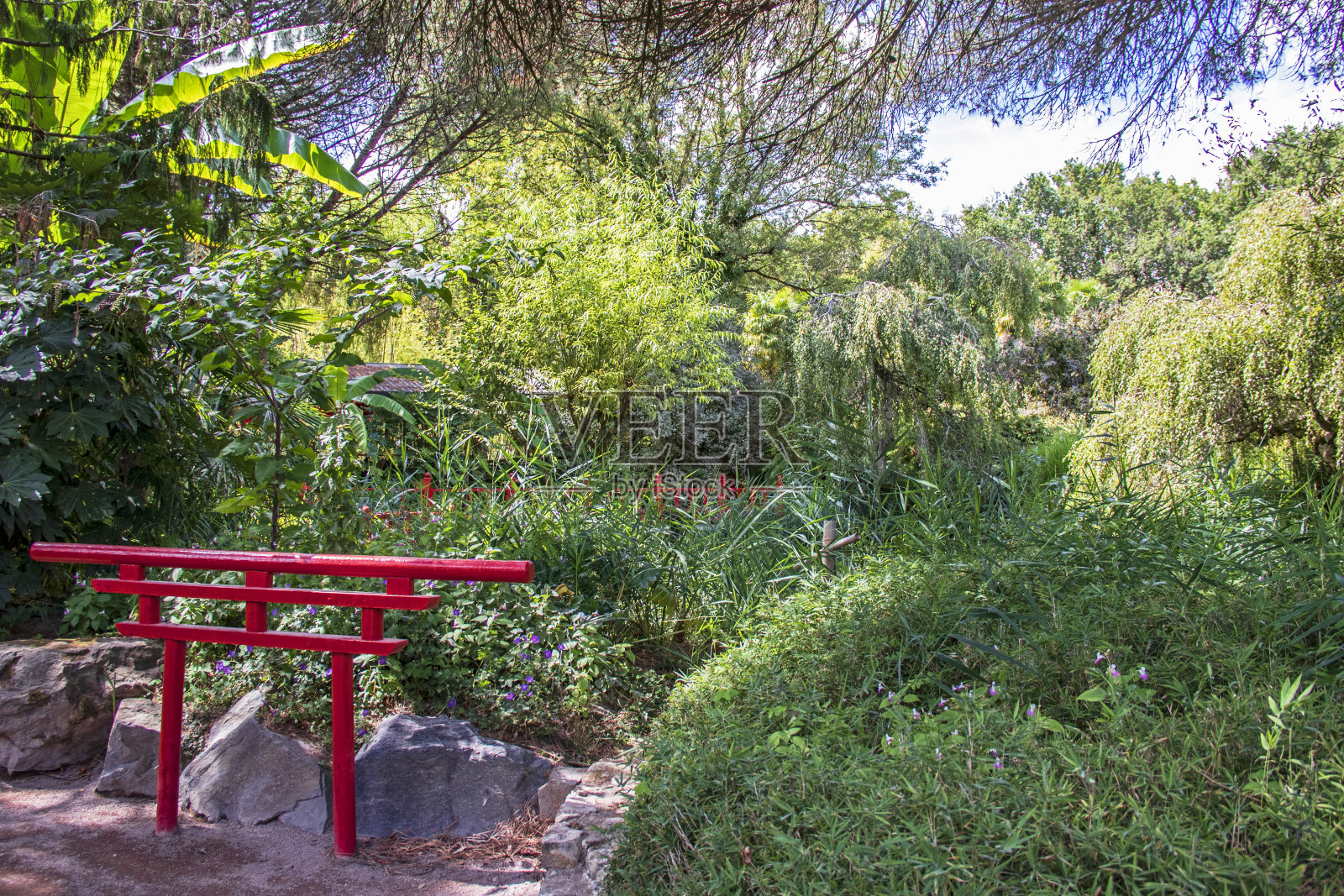 日式园林照片摄影图片