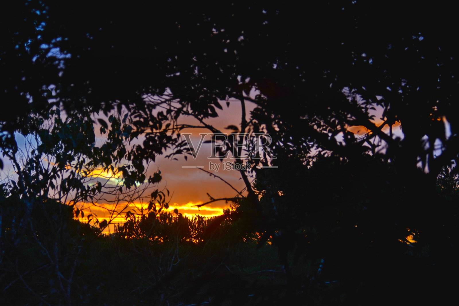 日落的景色照片摄影图片