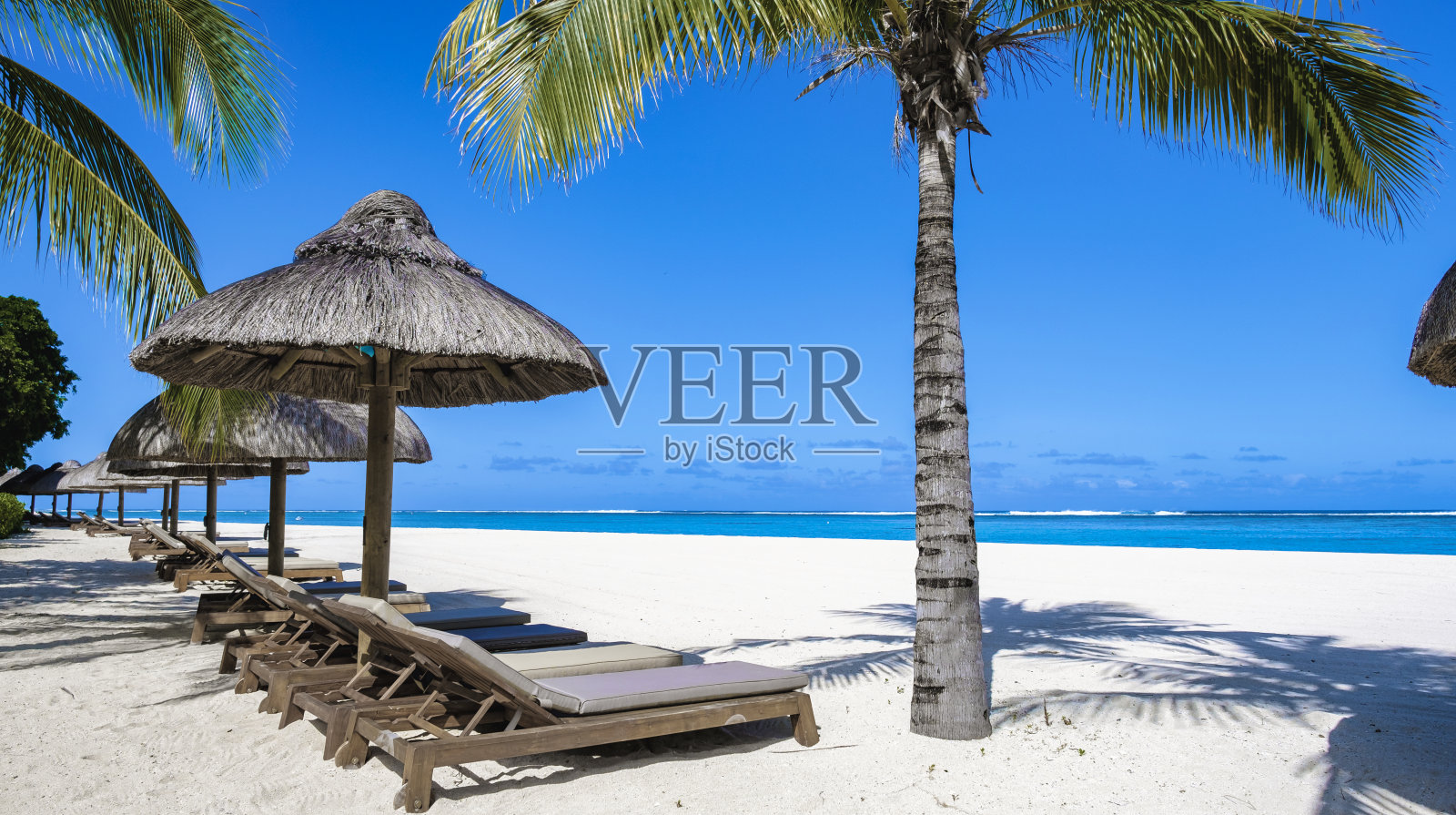 有棕榈树和白沙的热带海滩，蓝色的海洋和带伞的海滩床照片摄影图片