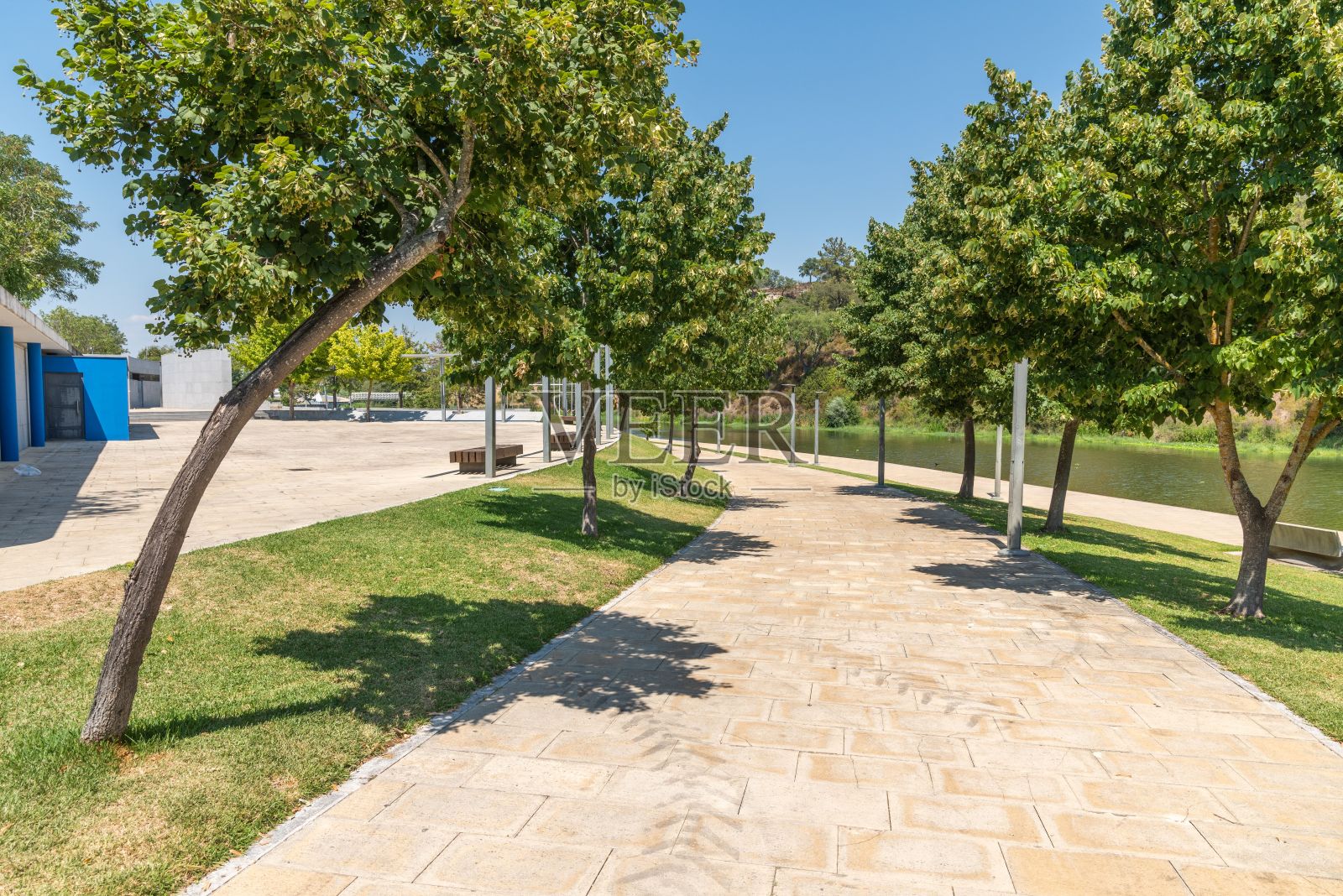 葡萄牙庞特德索尔河畔的绿树大道照片摄影图片