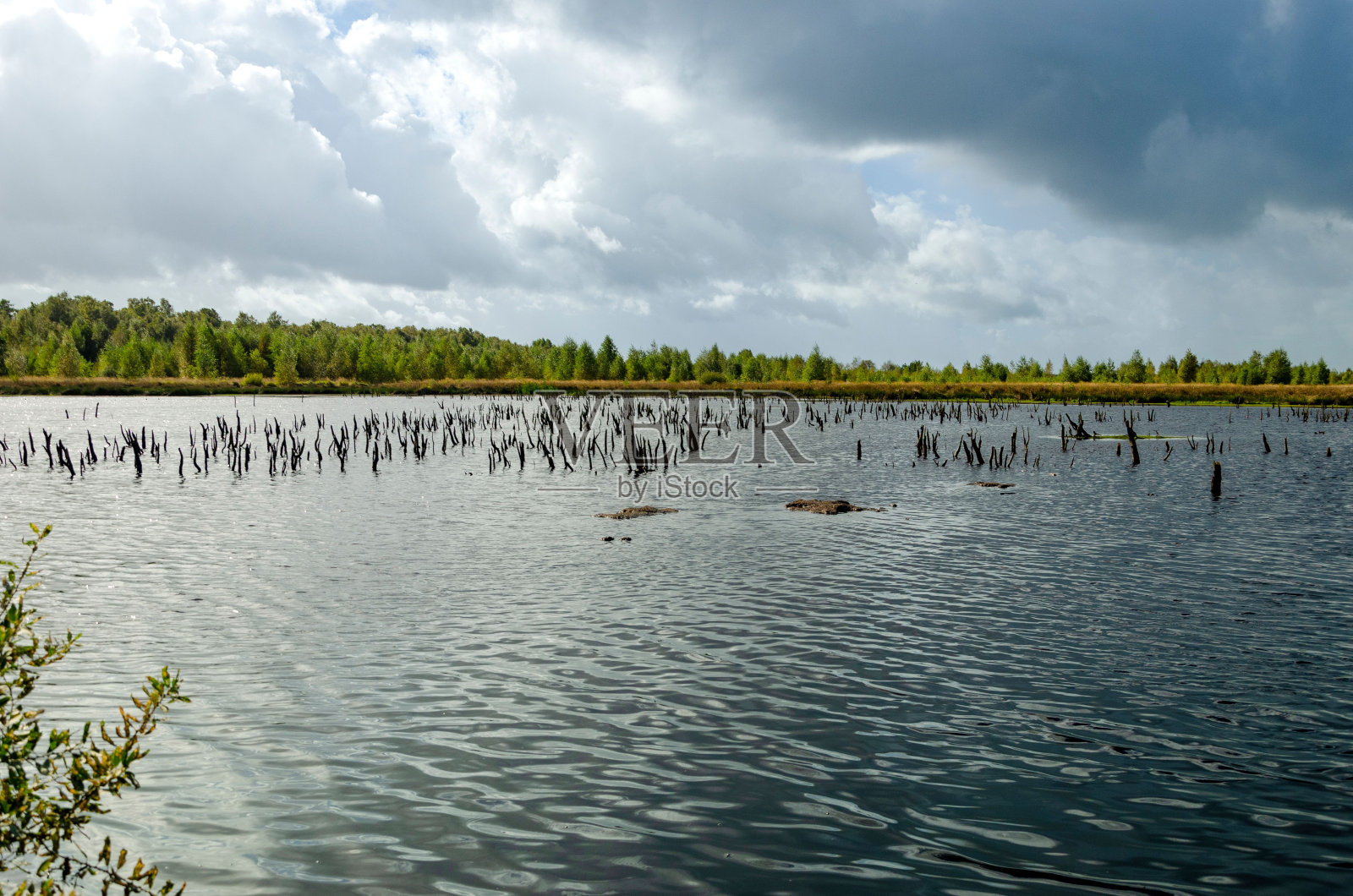 德国北部的沼泽和泥炭地貌照片摄影图片