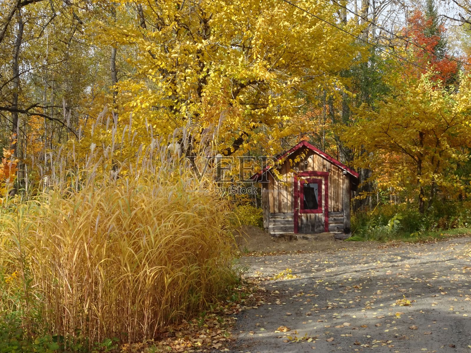 秋天森林里一个小木屋的美丽照片照片摄影图片
