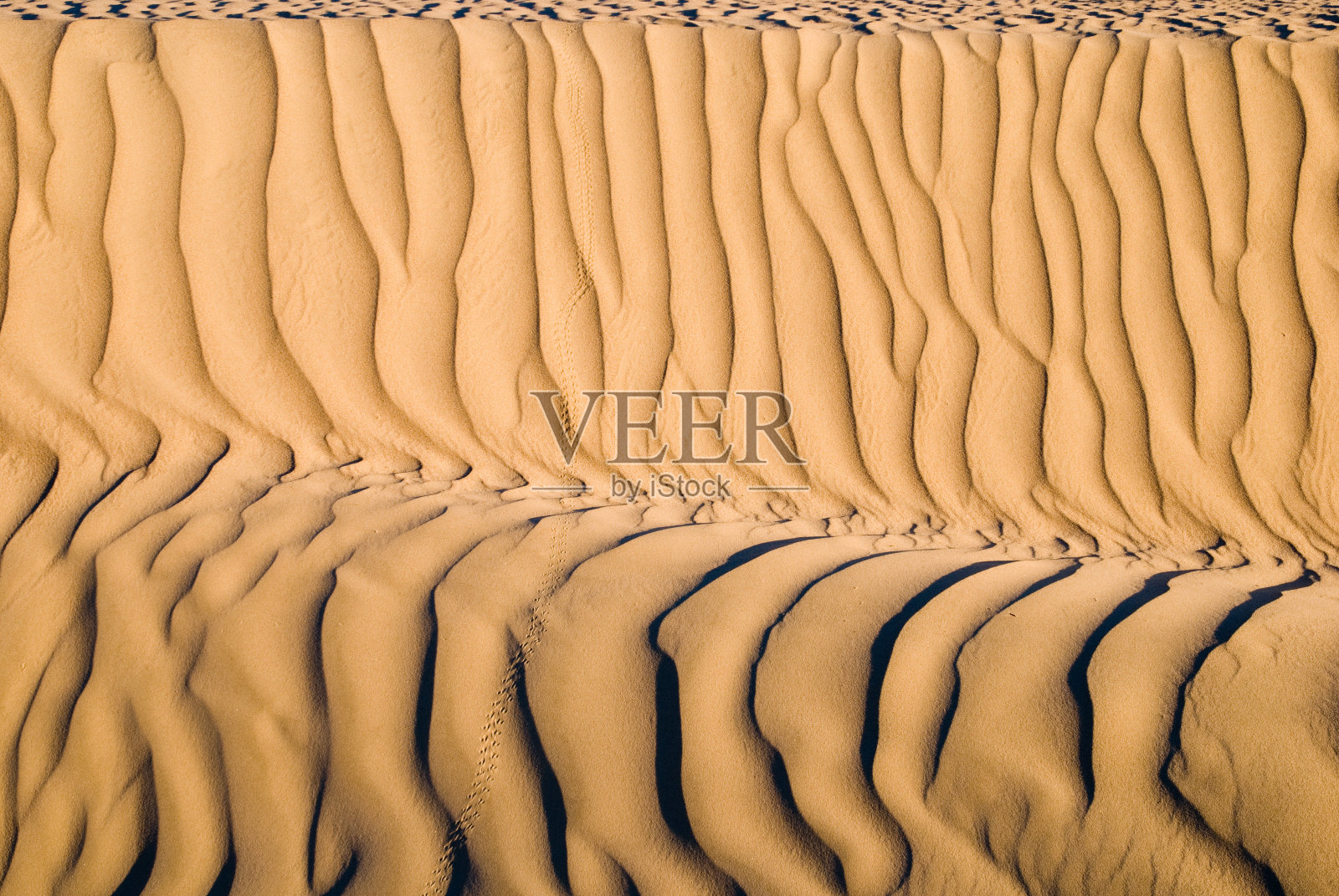 沙漠中沙波纹理的特写镜头。漂亮的壁纸照片摄影图片