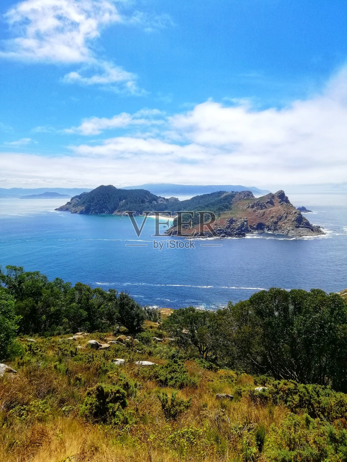 垂直景观拍摄的海滩与植物在西斯群岛，西班牙照片摄影图片