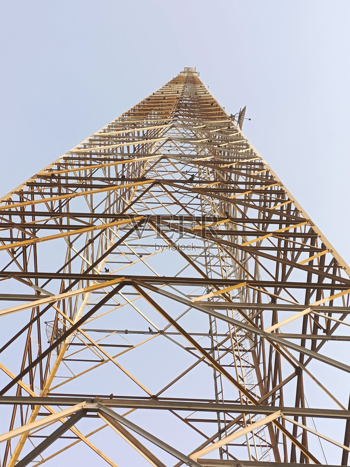 千米塔照片摄影图片