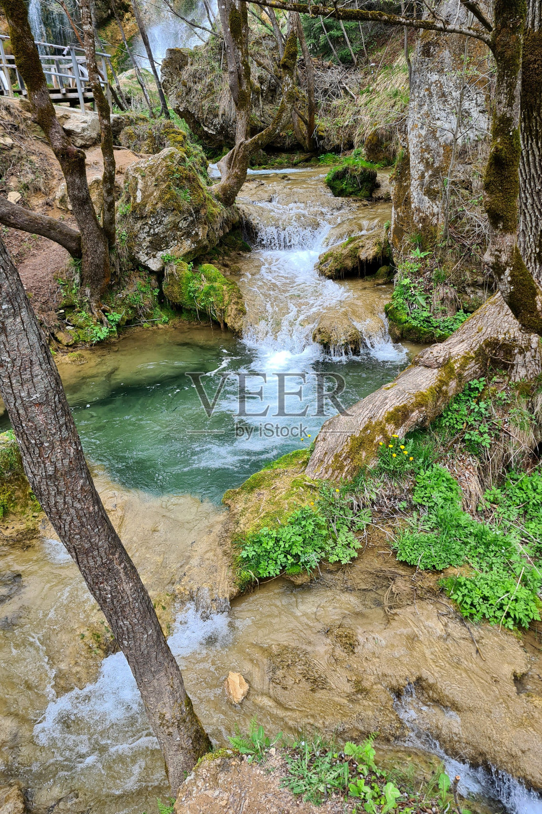 垂直拍摄森林中的小瀑布照片摄影图片