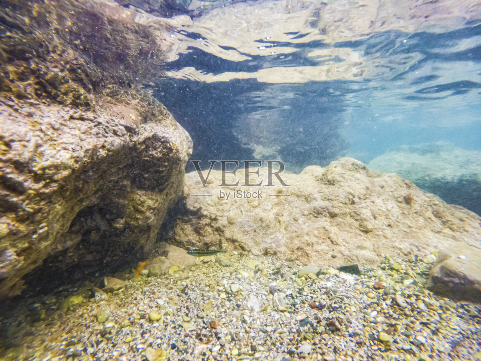 水下照片摄影图片