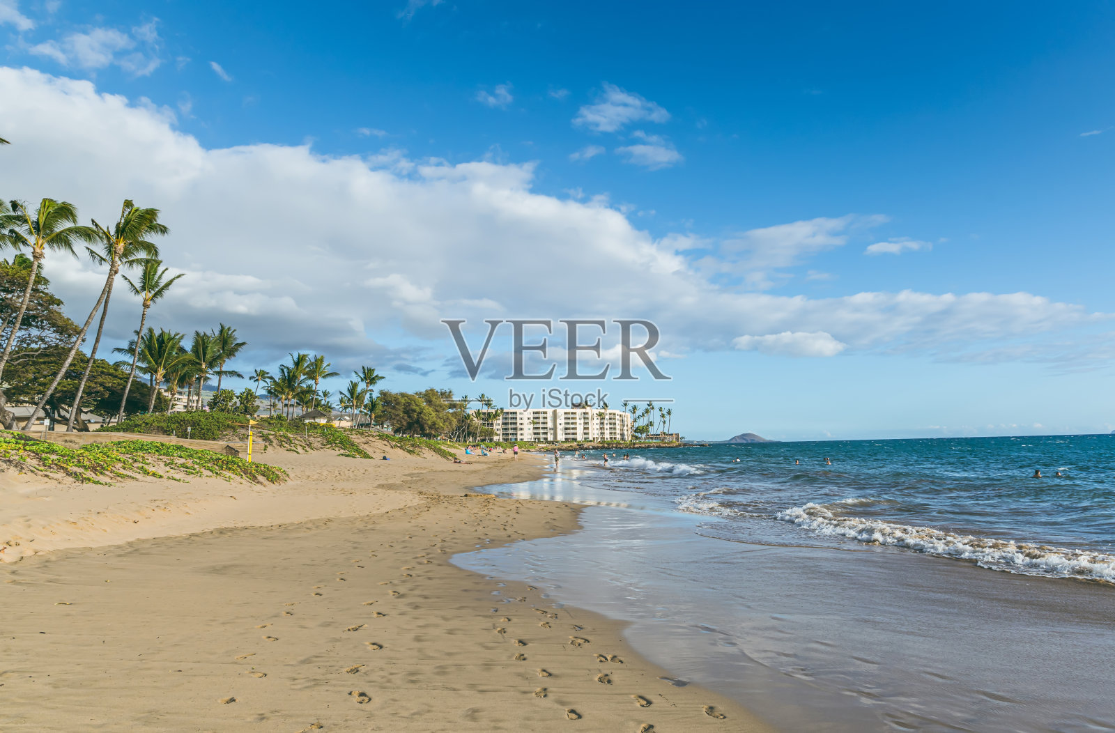 夏威夷毛伊岛的夏天，明亮的蓝色阳光灿烂的天空，高高的棕榈树照片摄影图片