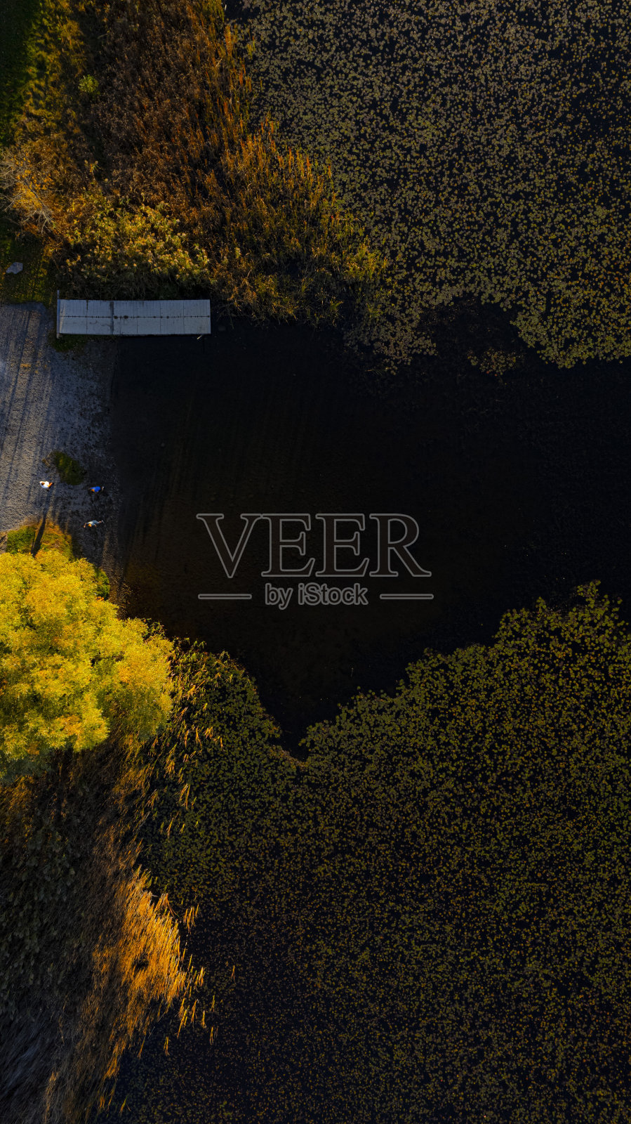 从鸟瞰图上看，秋天的风景和五彩缤纷的树叶照片摄影图片