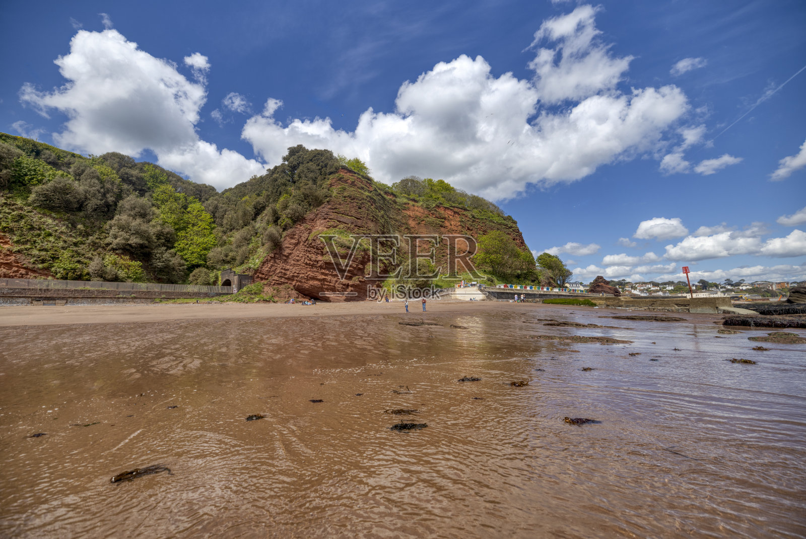 在英国德力士的一个阳光灿烂的日子里，海边的砂岩上长满了茂密的绿色植物照片摄影图片