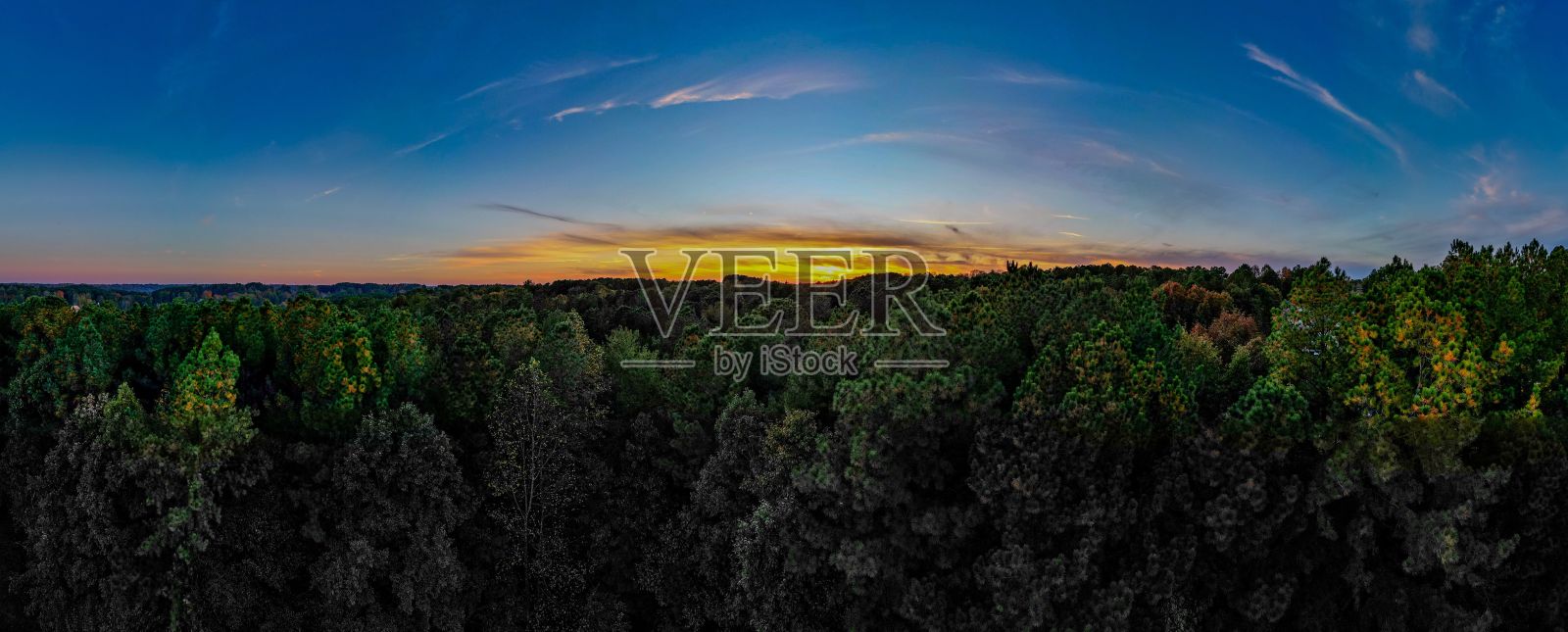 橘黄色的日落天空俯瞰森林，全景照片摄影图片