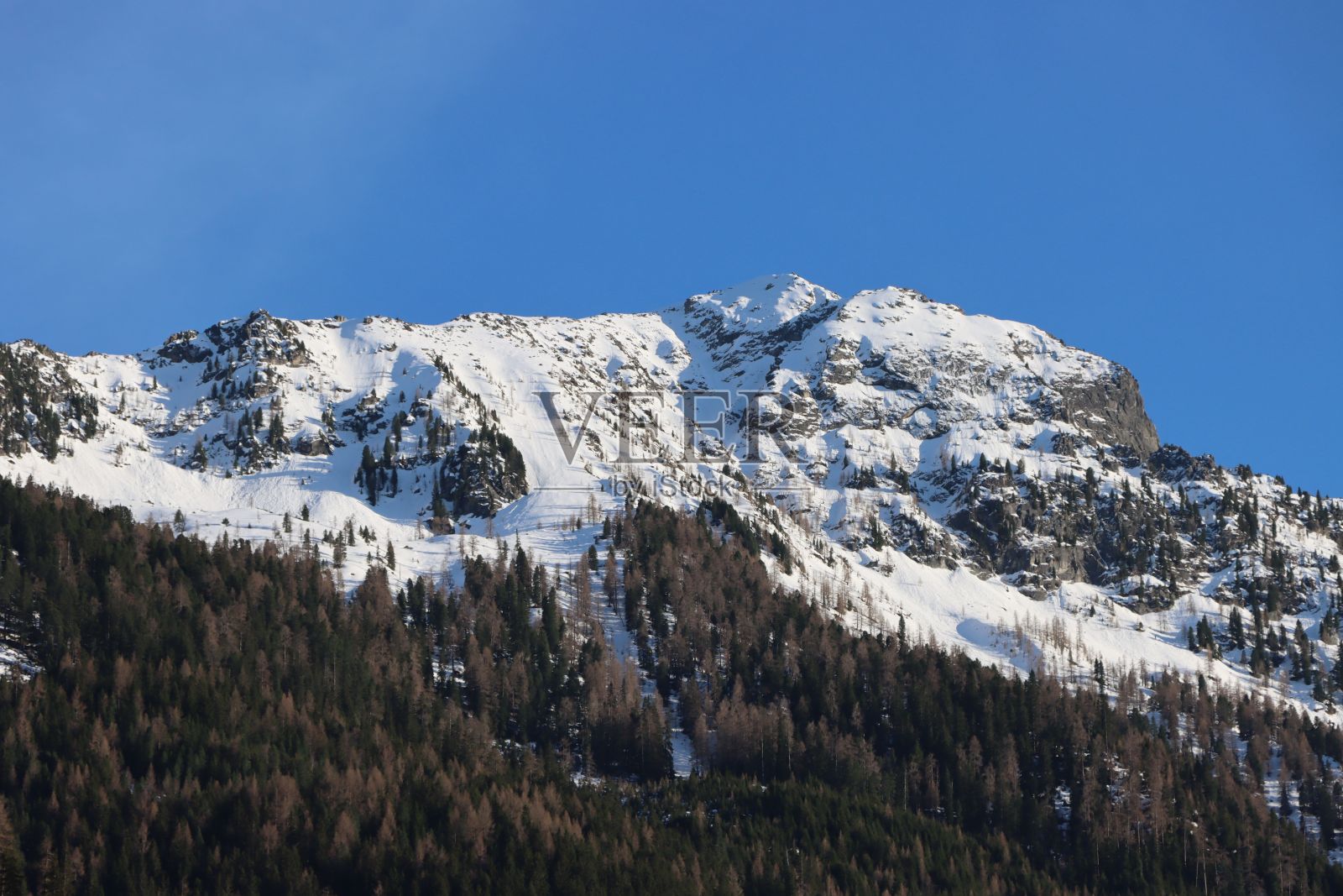 美丽的白雪皑皑的山，在清澈的淡蓝色天空下，山下有深色的树木照片摄影图片