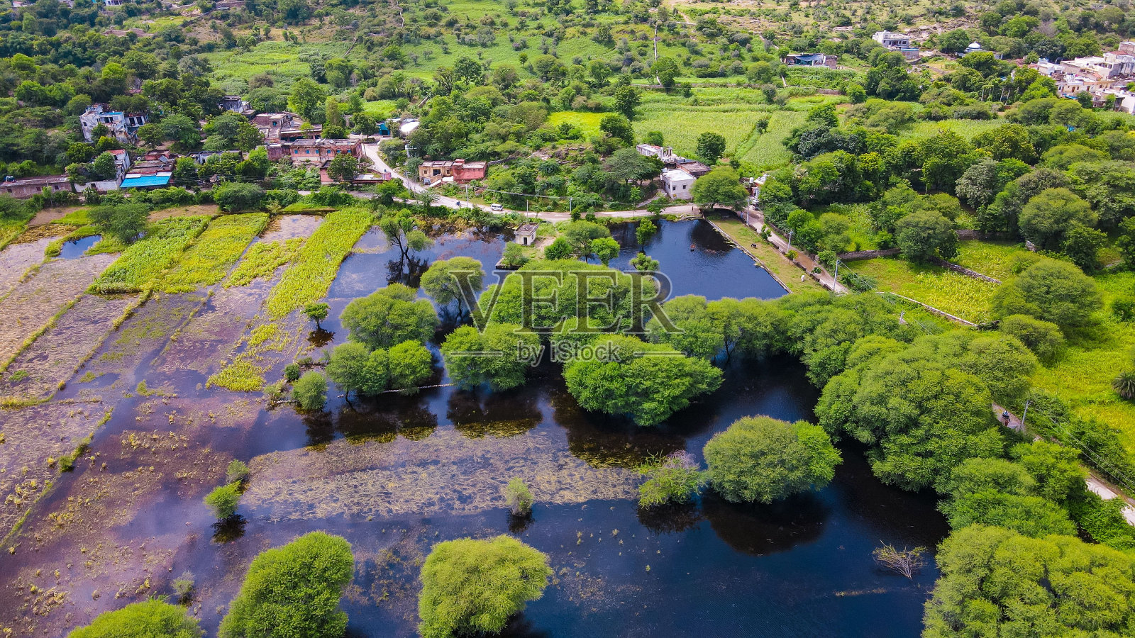 阳光明媚的一天，公园里绿树成荫的池塘照片摄影图片