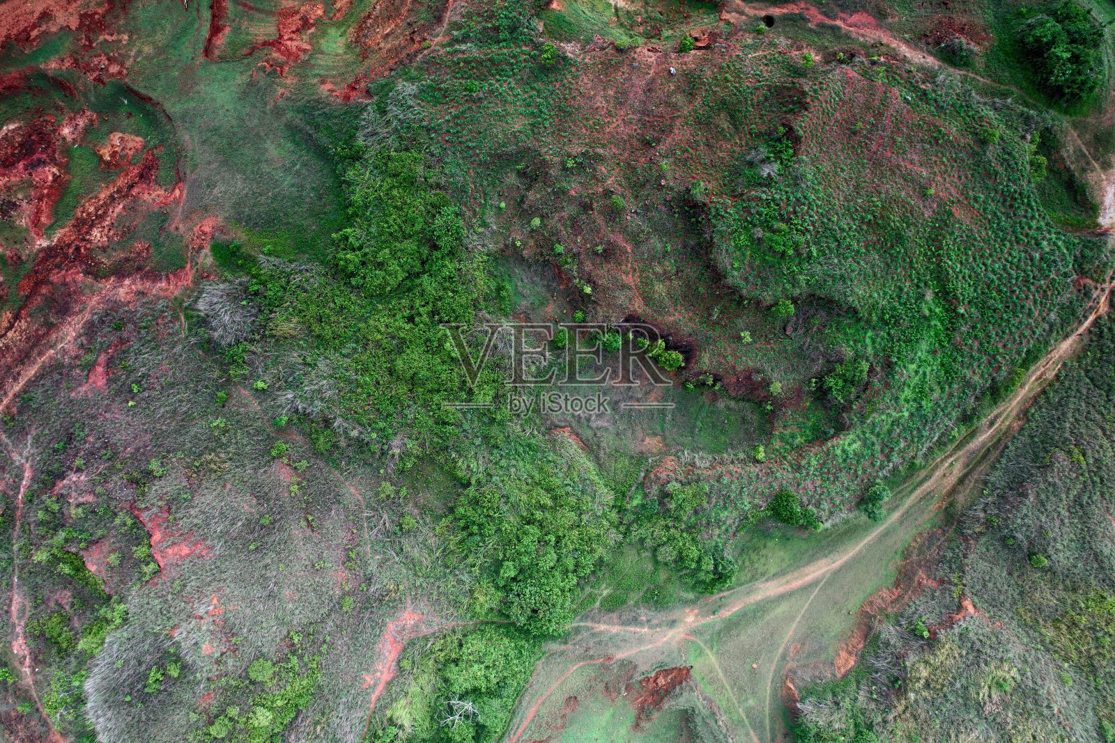 空中的Wayanad覆盖在灌木丛和树木，喀拉拉邦，印度照片摄影图片