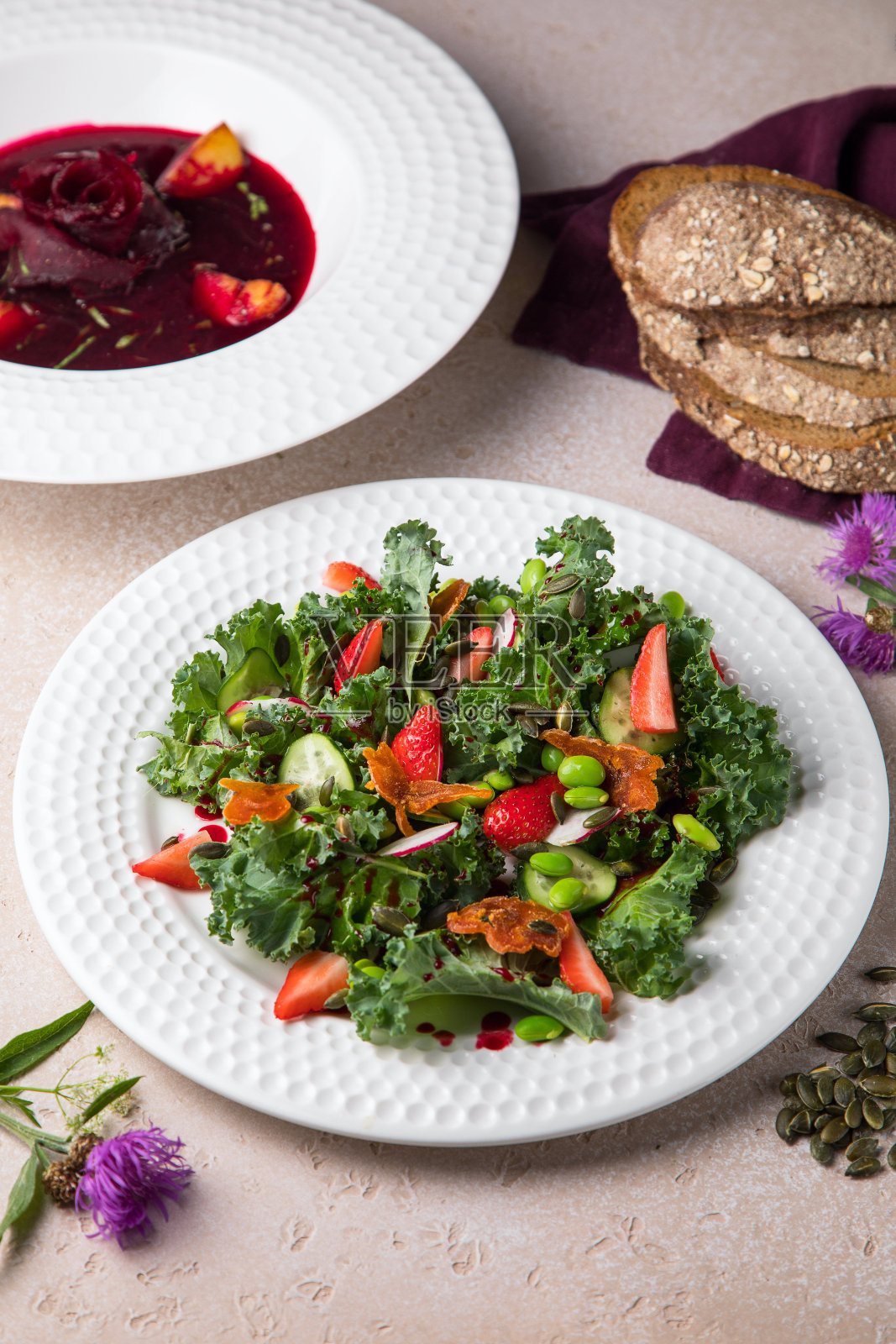 植物白色盘子，蝴蝶结意大利面沙拉配黄瓜，晒干的番茄，照片摄影图片