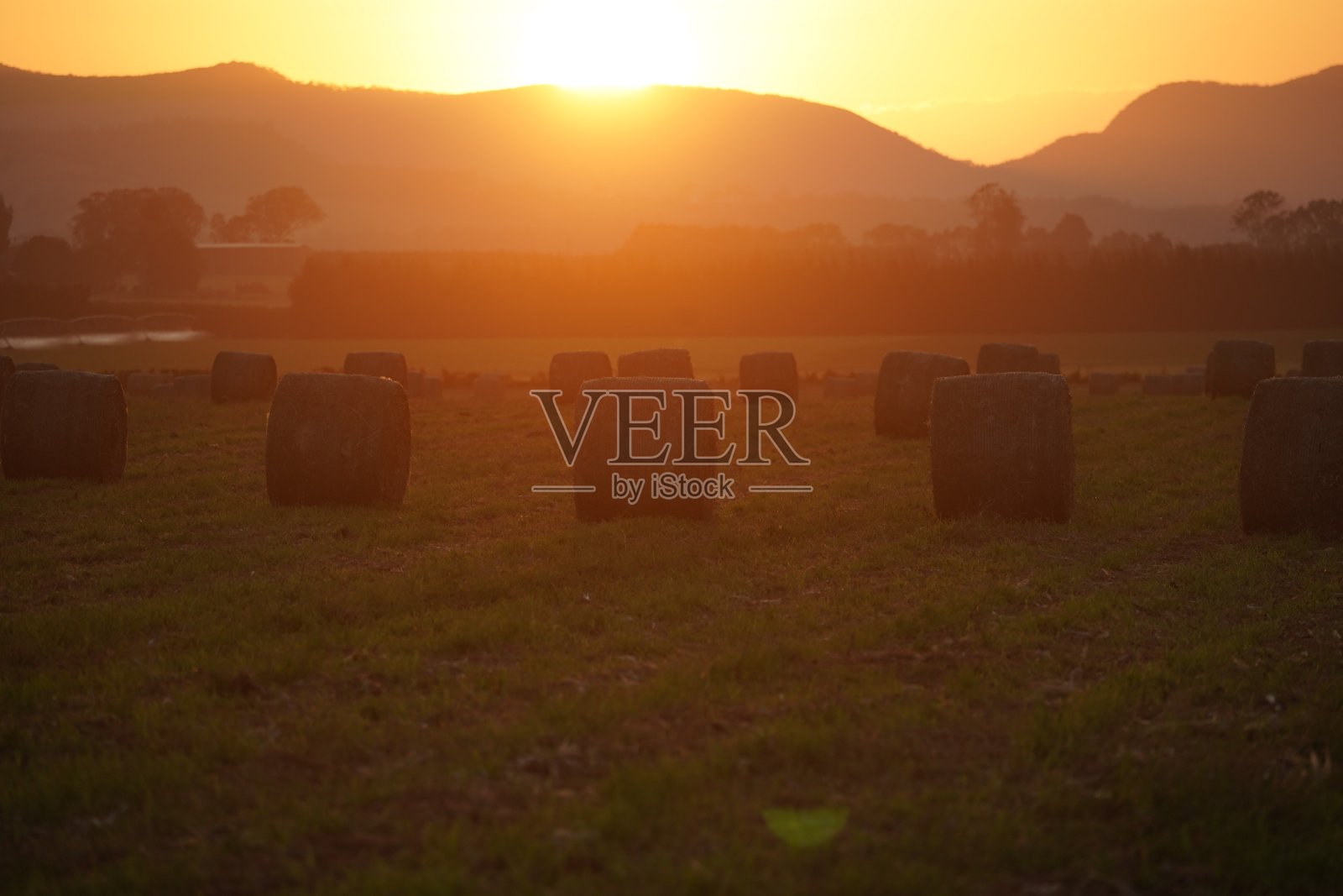 太阳落在围场里的圆捆上照片摄影图片