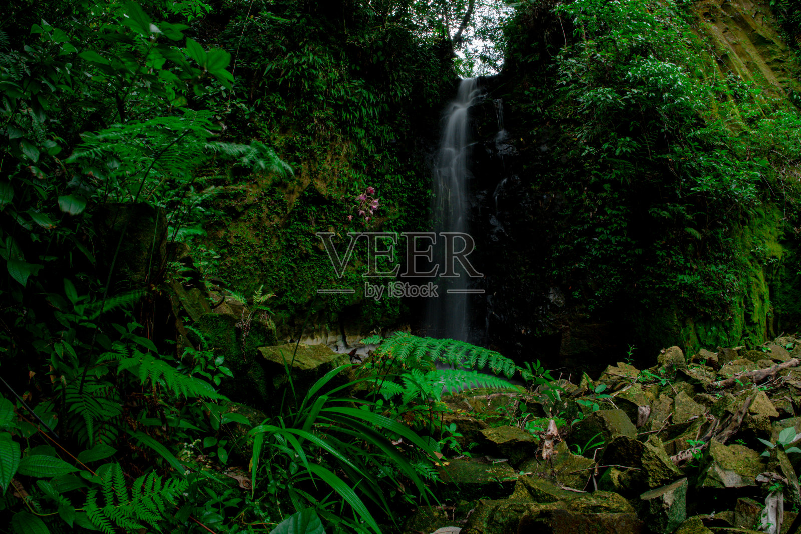 瀑布照片摄影图片