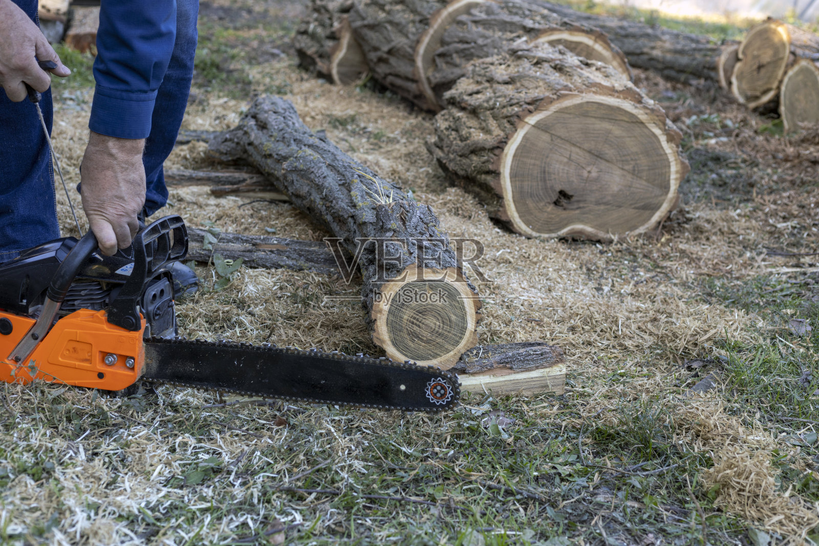一个人拿着电锯锯木头。照片摄影图片