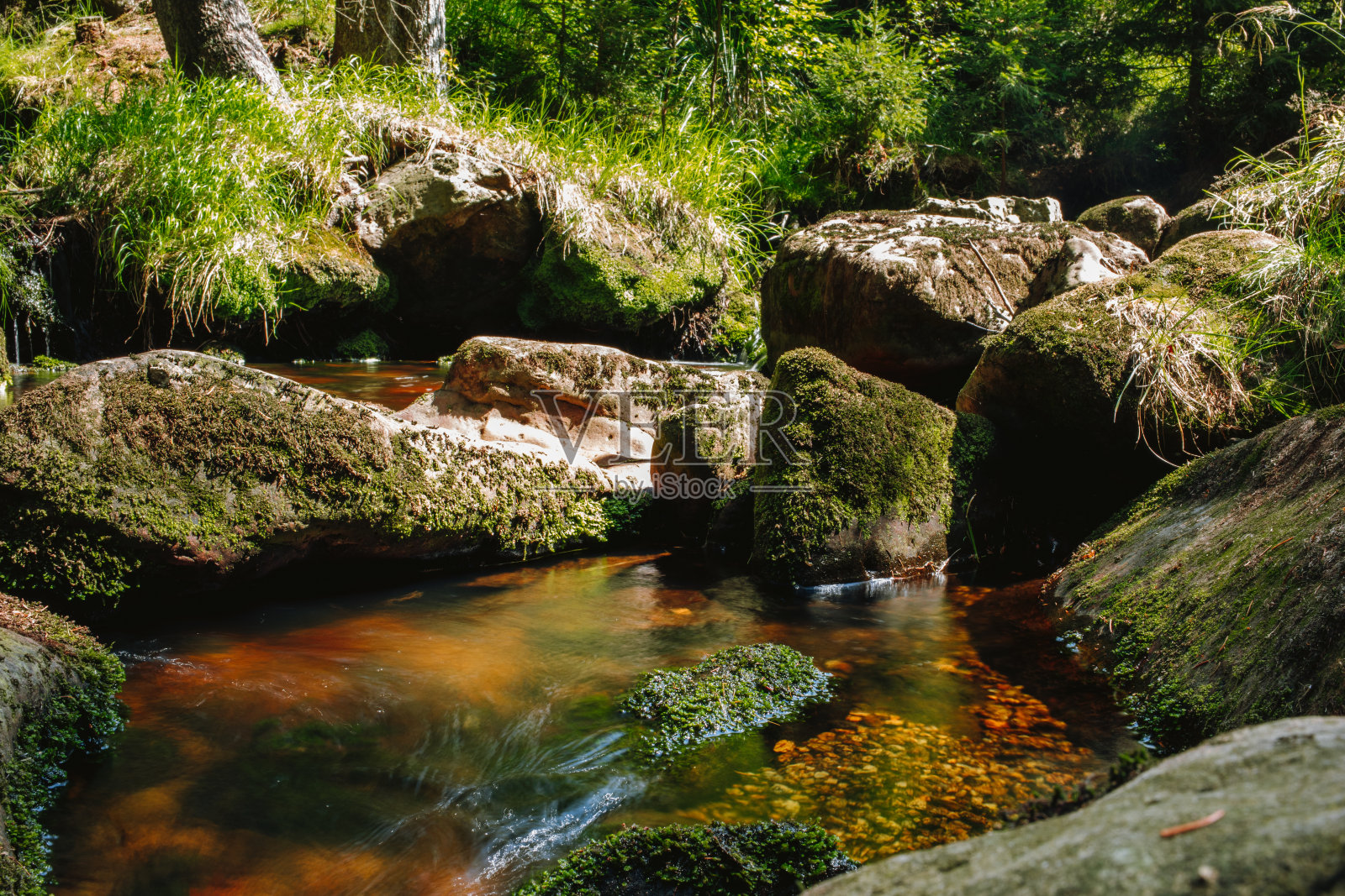 森林小溪的特写镜头，石头被苔藓覆盖照片摄影图片