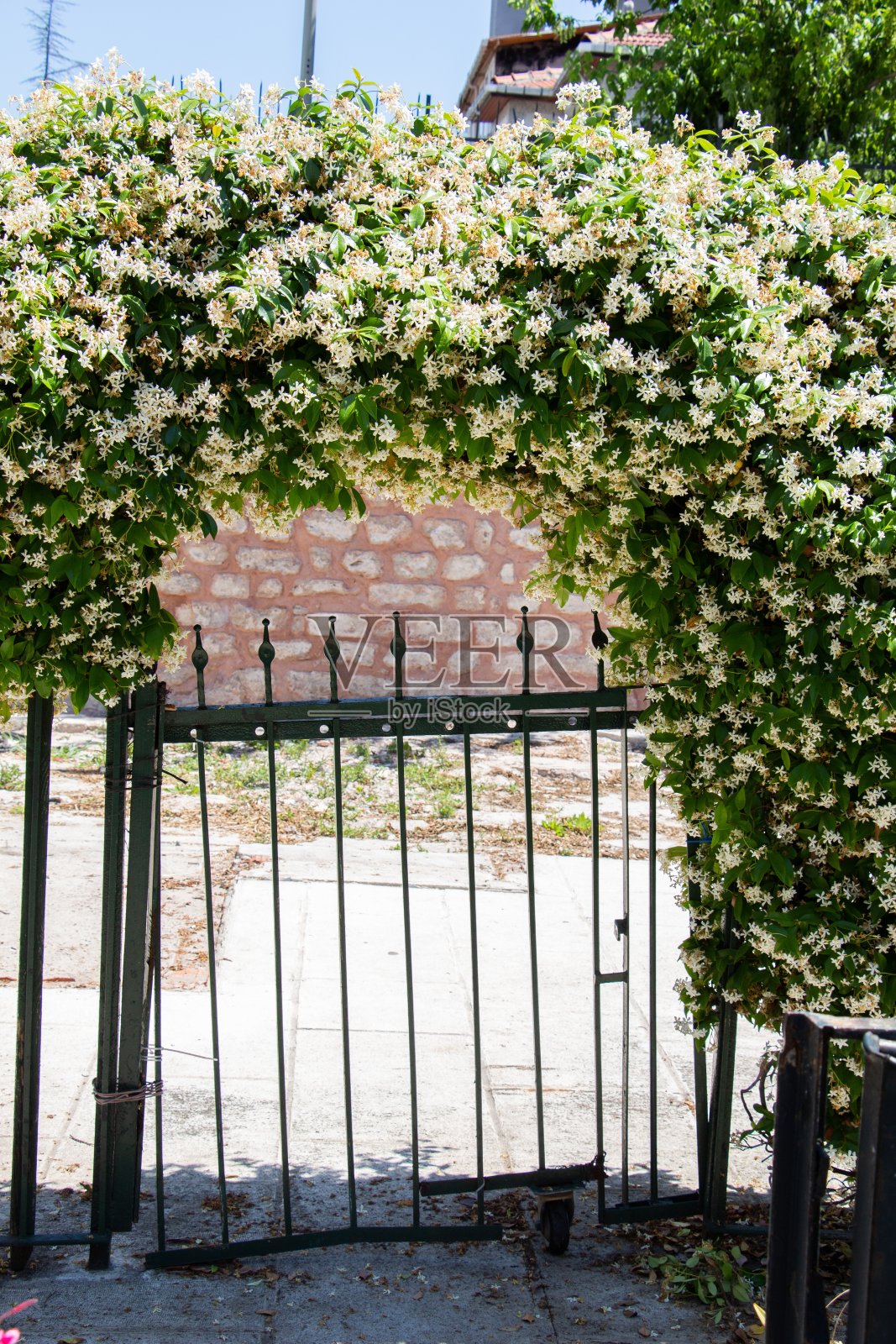 一个用绿色树枝做成拱门的破旧金属门的特写镜头照片摄影图片