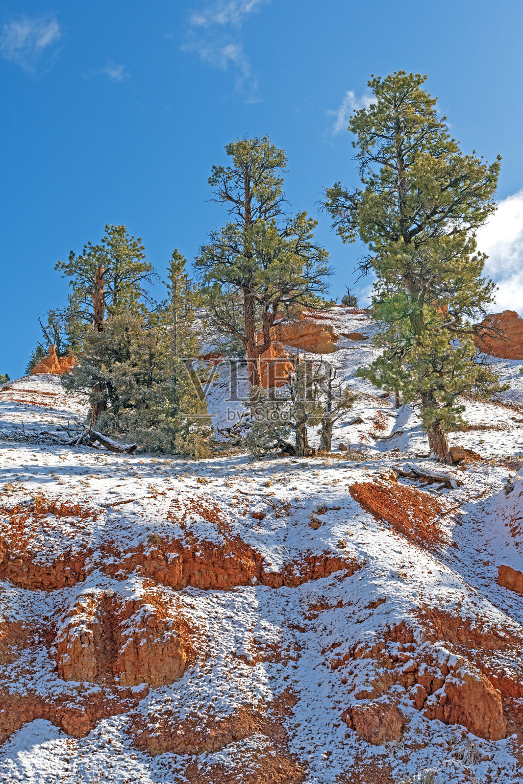 红色峡谷里的春雪照片摄影图片
