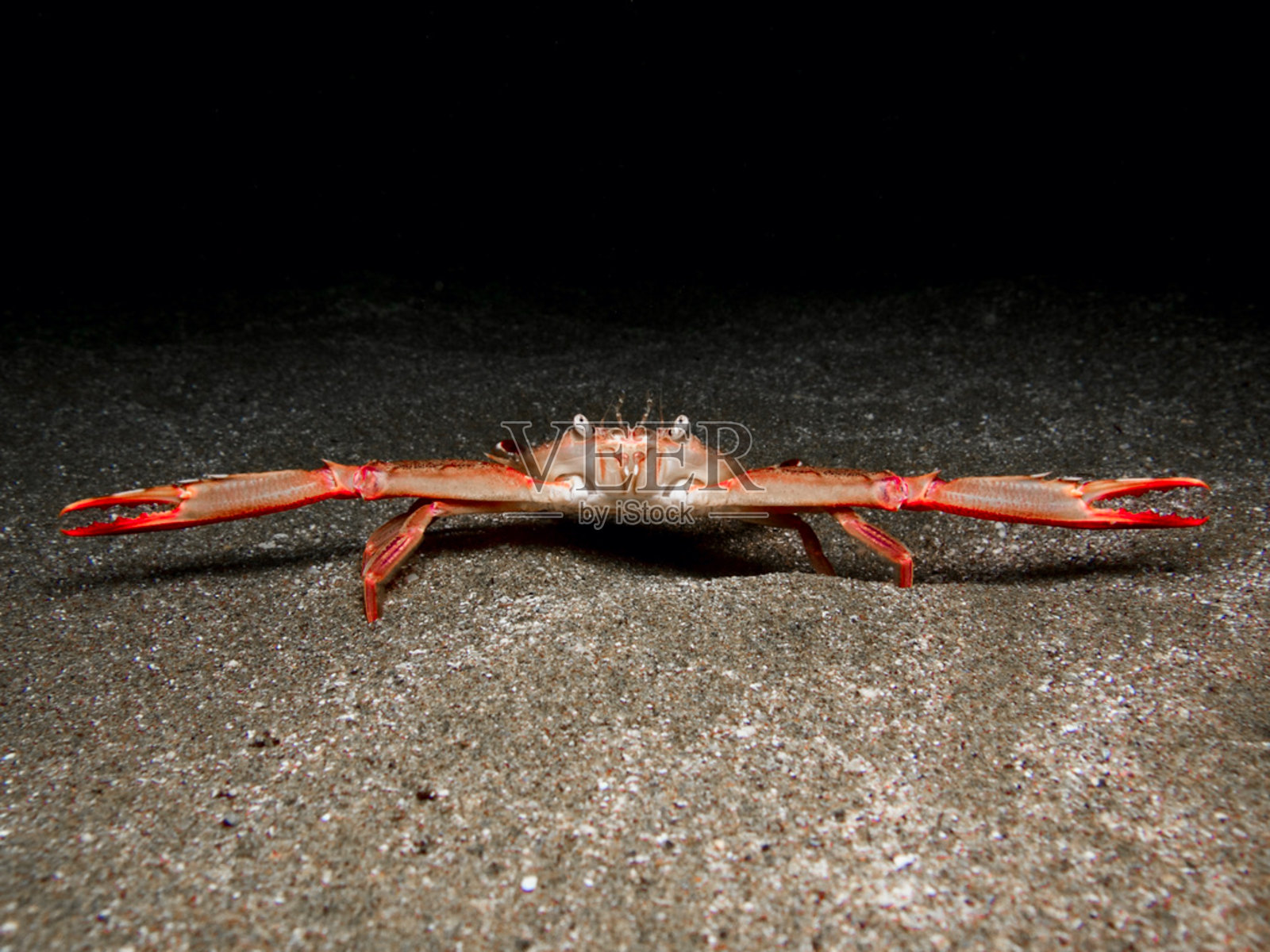 防御模式照片摄影图片