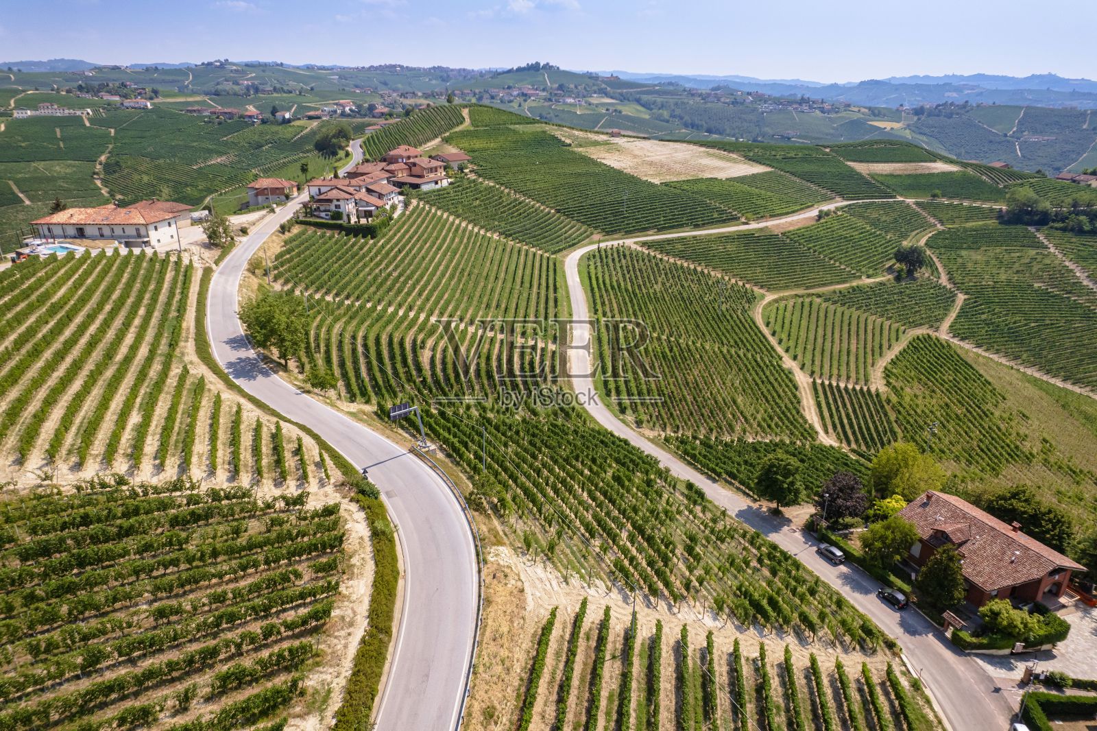 葡萄园景观的鸟瞰图照片摄影图片