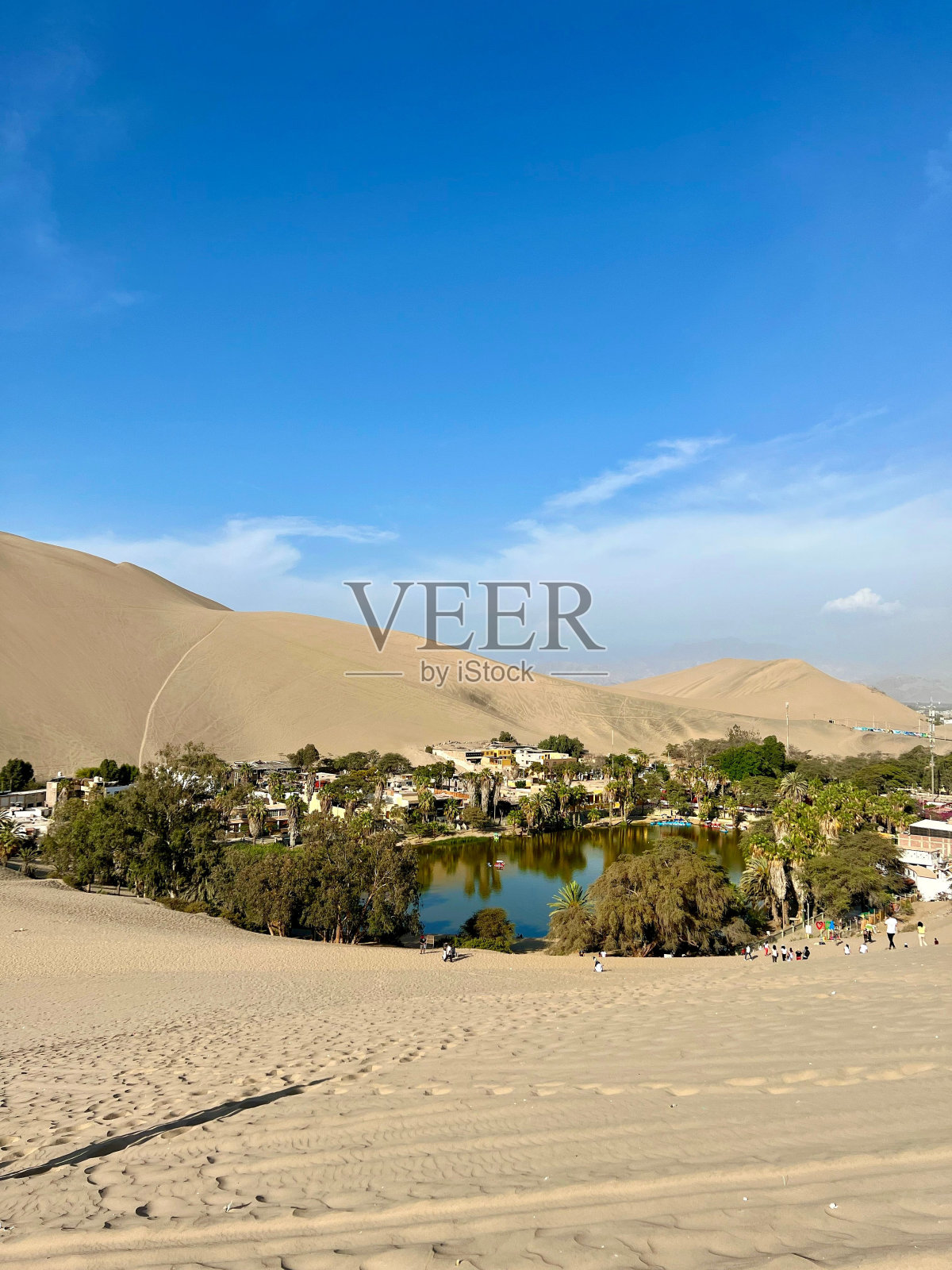 在一个阳光明媚的日子里，沙漠中被房屋和绿色植物包围的湖泊垂直拍摄照片摄影图片