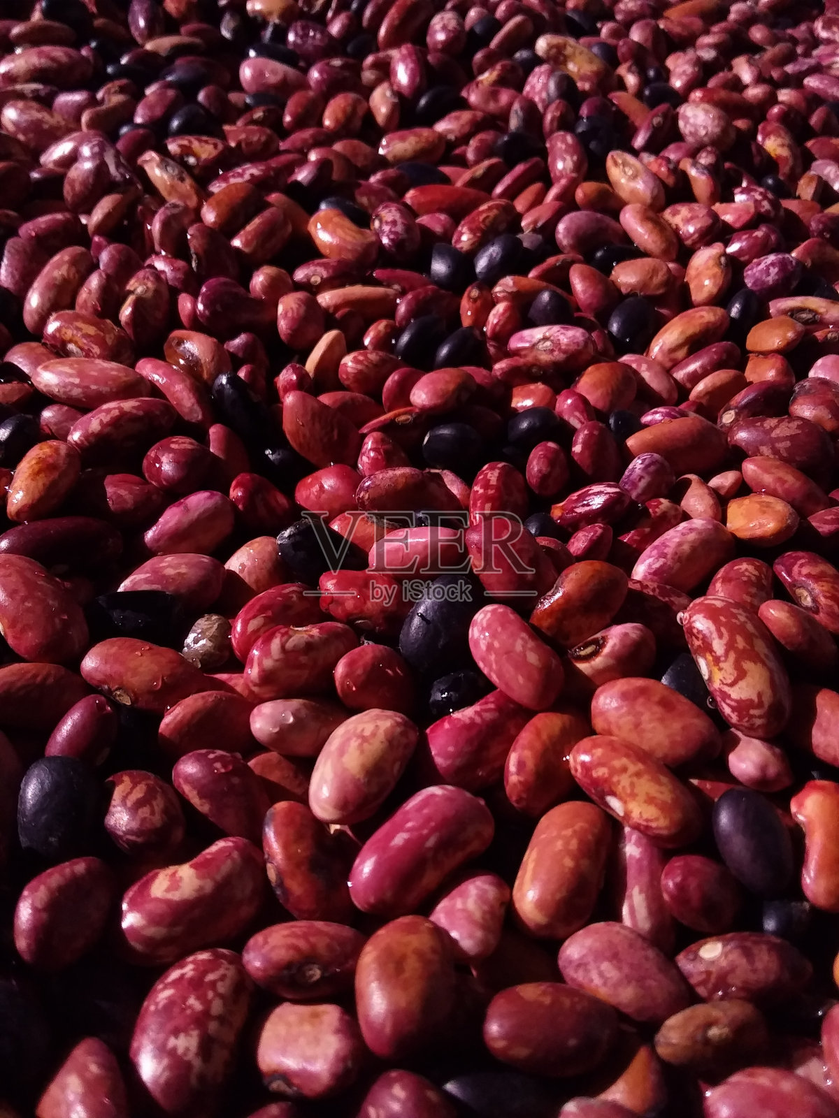 未煮熟的红芸豆的特写镜头照片摄影图片