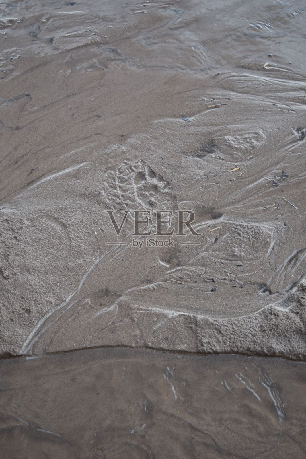 纹理湿沙的垂直特写照片摄影图片