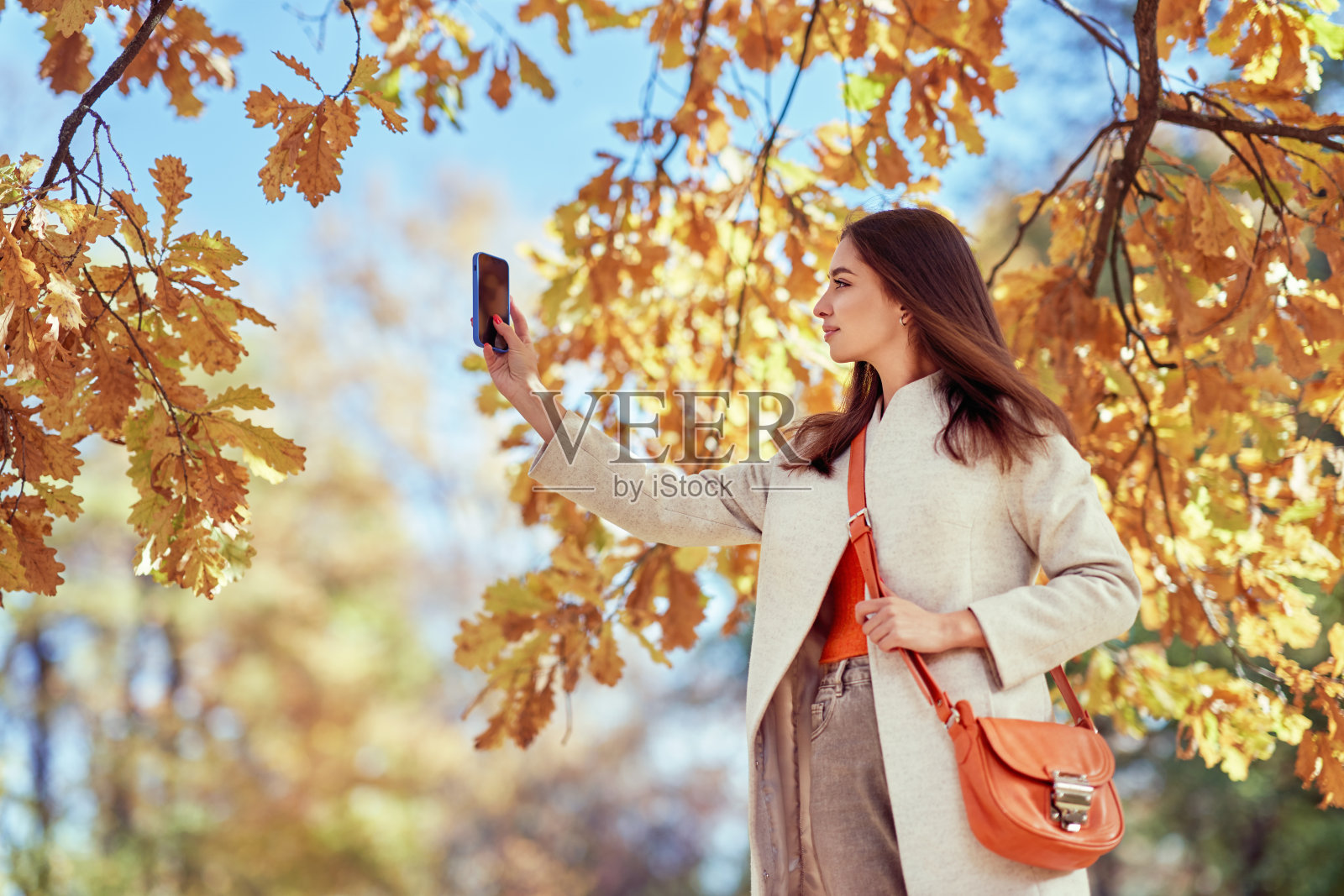 一个女孩用智能手机在秋天的森林里拍照照片摄影图片