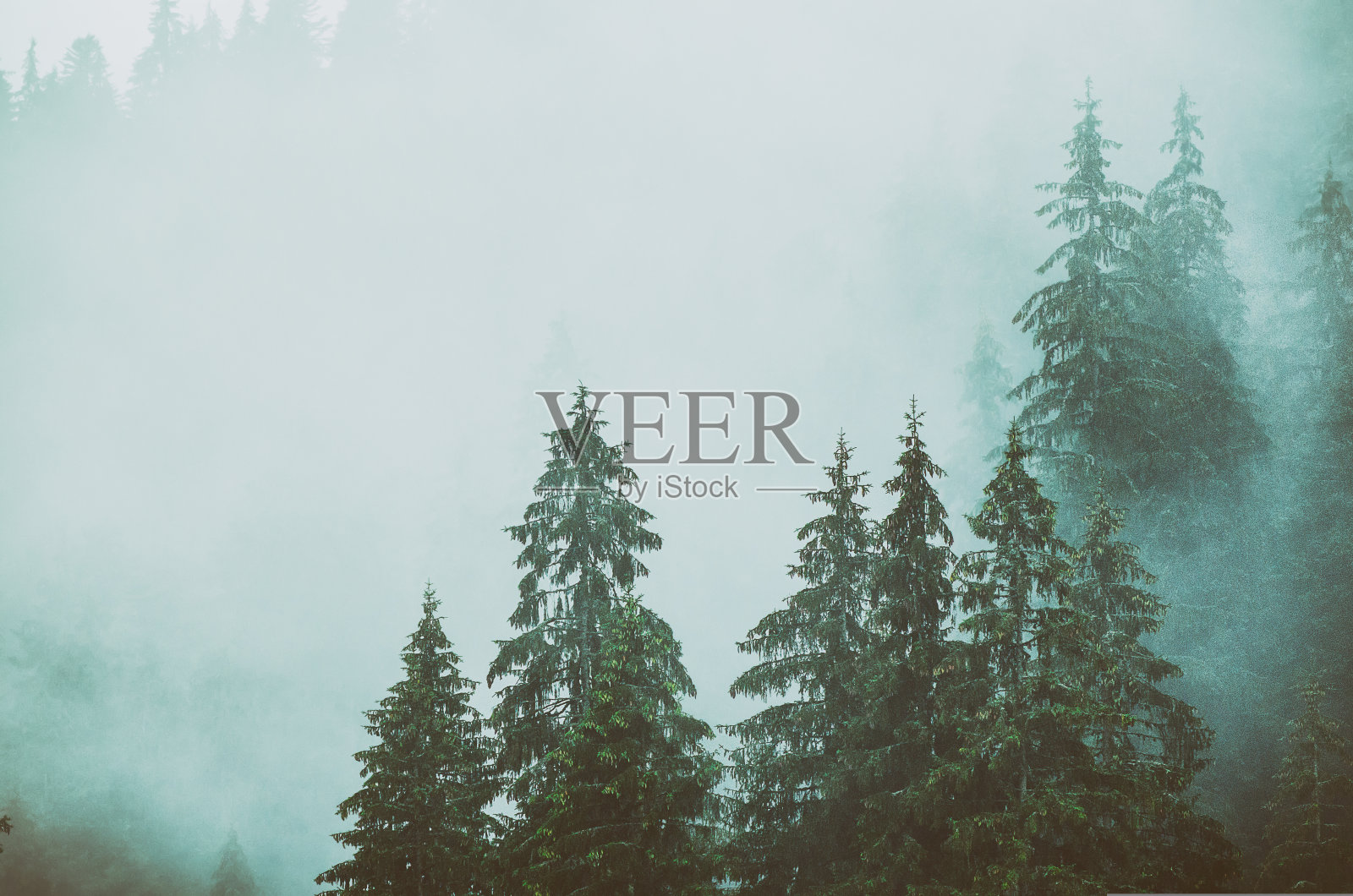 雾山景观照片摄影图片