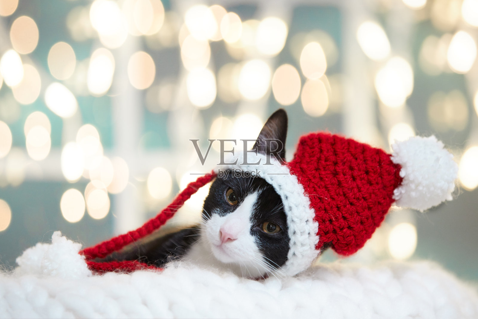 一只戴着红色圣诞帽的搞笑小猫正在舒适的白色针织毯子上放松，看着镜头照片摄影图片