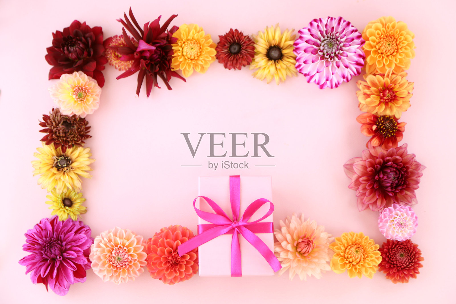 花的背景照片摄影图片