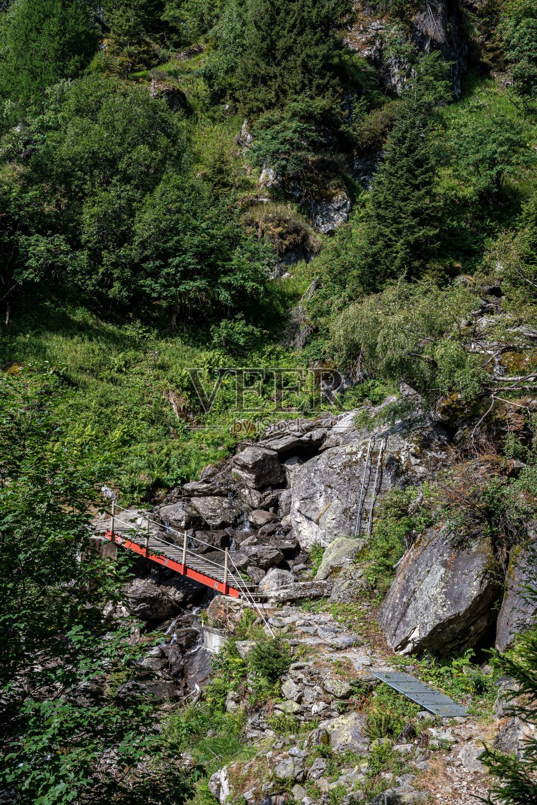 在树林里散步的一座桥照片摄影图片