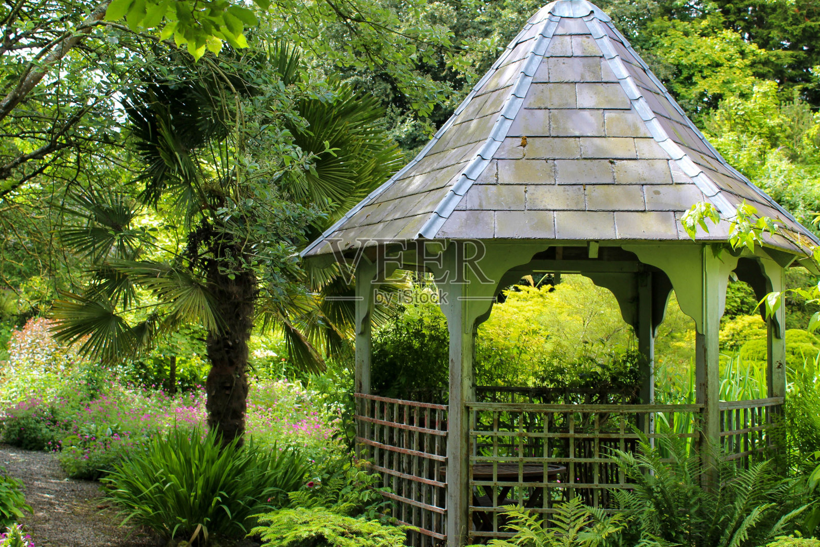空旷的凉亭，周围有树木和植物照片摄影图片