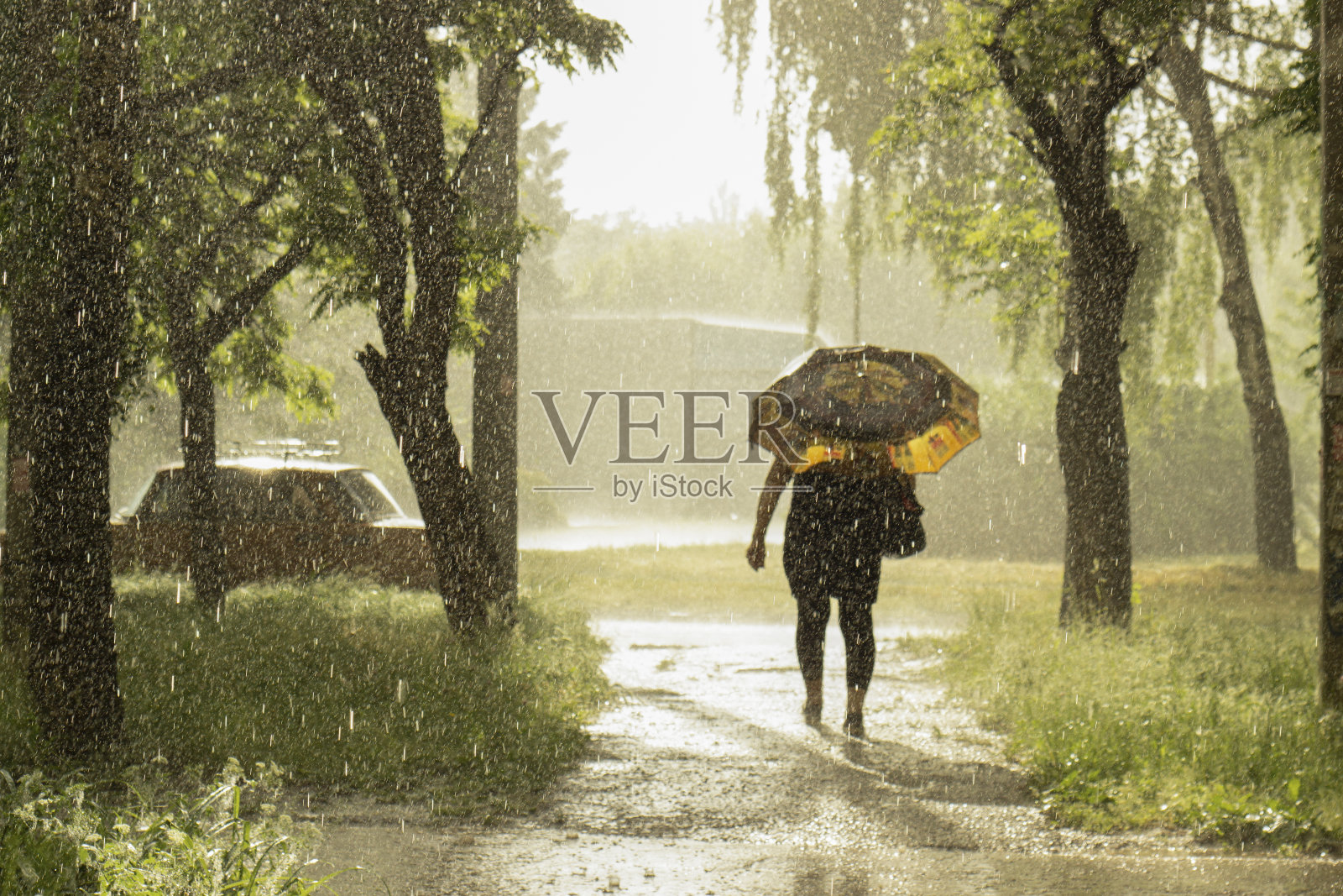 阴雨明媚的风景与剪影在伞下照片摄影图片