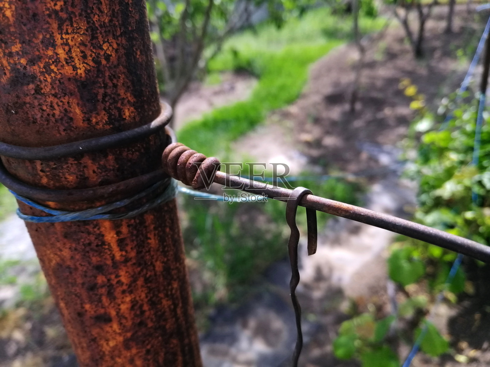 锈迹斑斑的旧柱子，还有盘绕的电线照片摄影图片