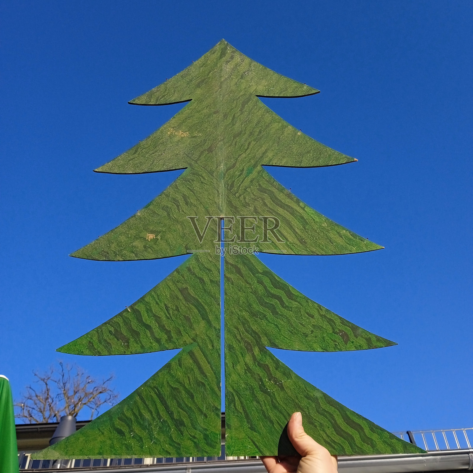 符号插图树木和森林照片摄影图片