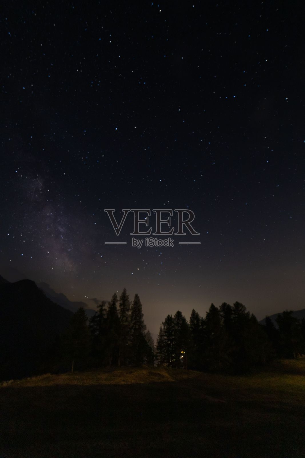 森林上空星星的美丽景象照片摄影图片