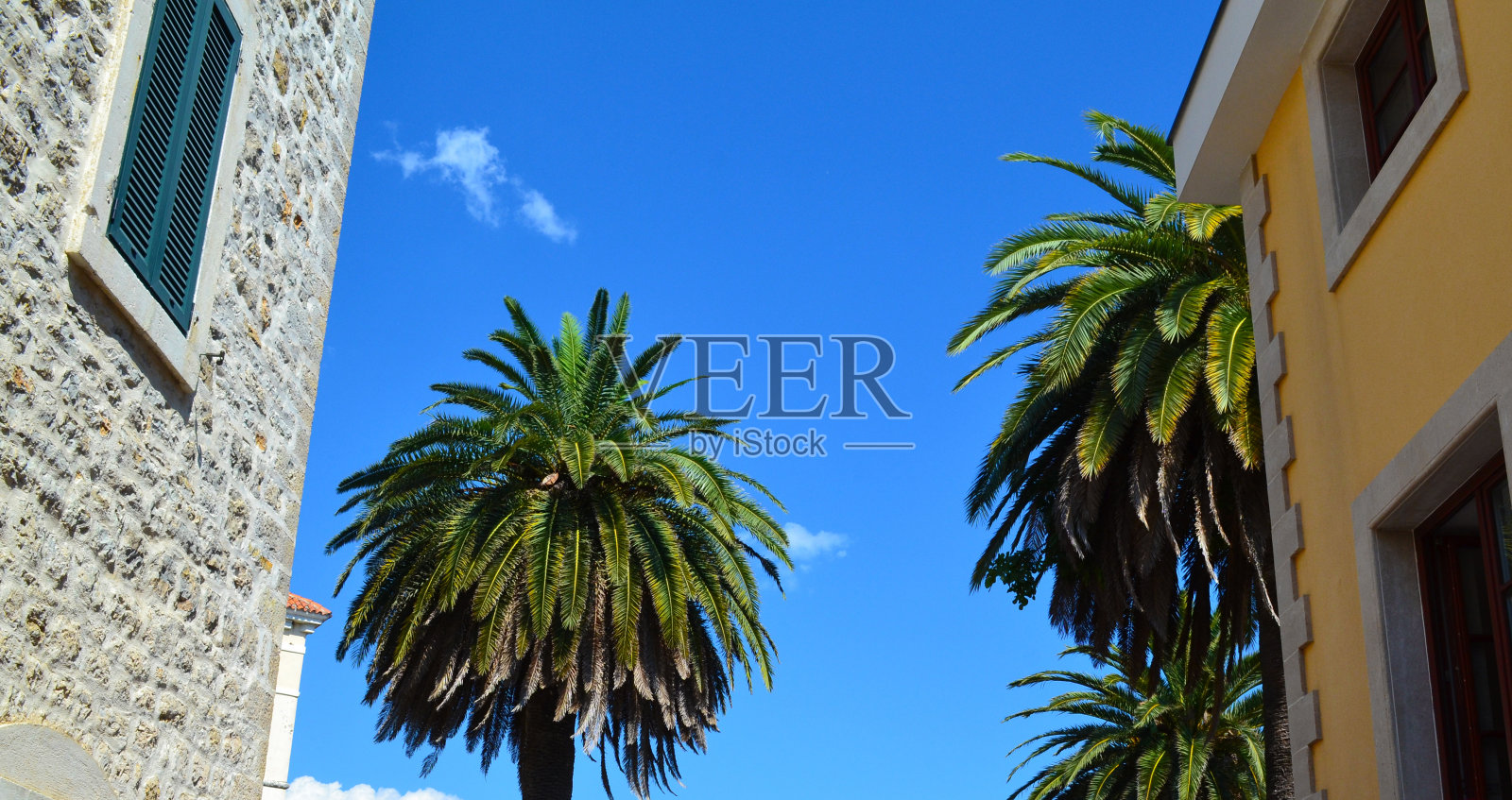 黑山、肮脏。照片摄影图片