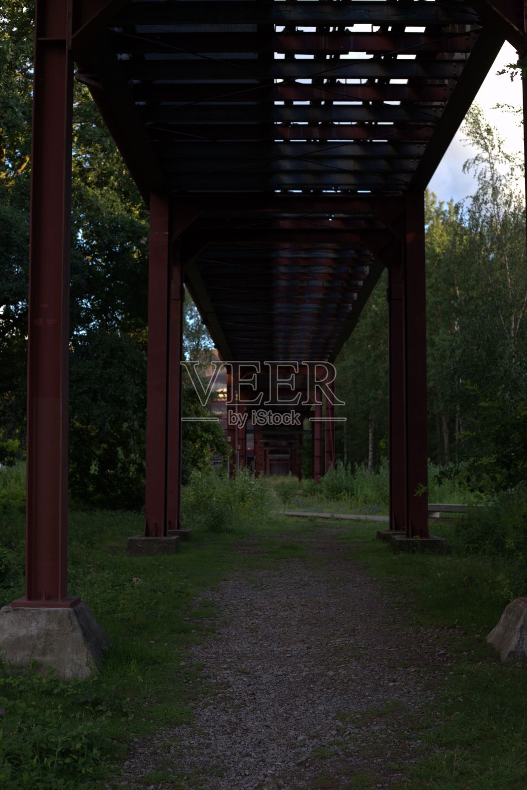 日光下田野里铁路的垂直镜头照片摄影图片