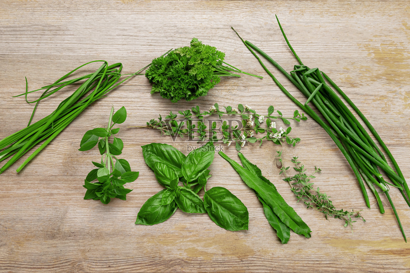 特立尼达和多巴哥的加勒比香草绿色调味沙顿本尼照片摄影图片