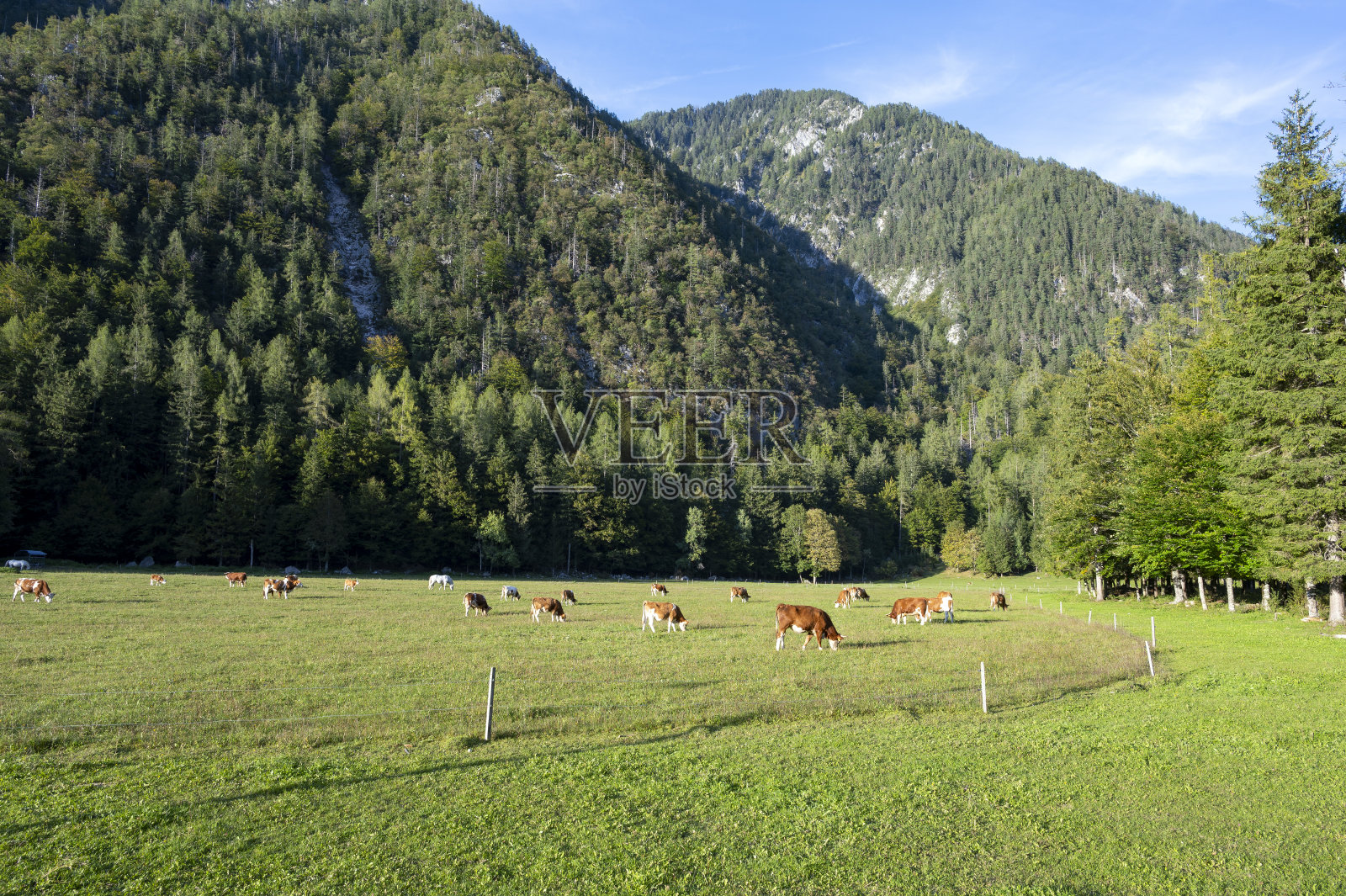 特里格拉夫国家公园里特里格拉夫山周围的乡村山景照片摄影图片