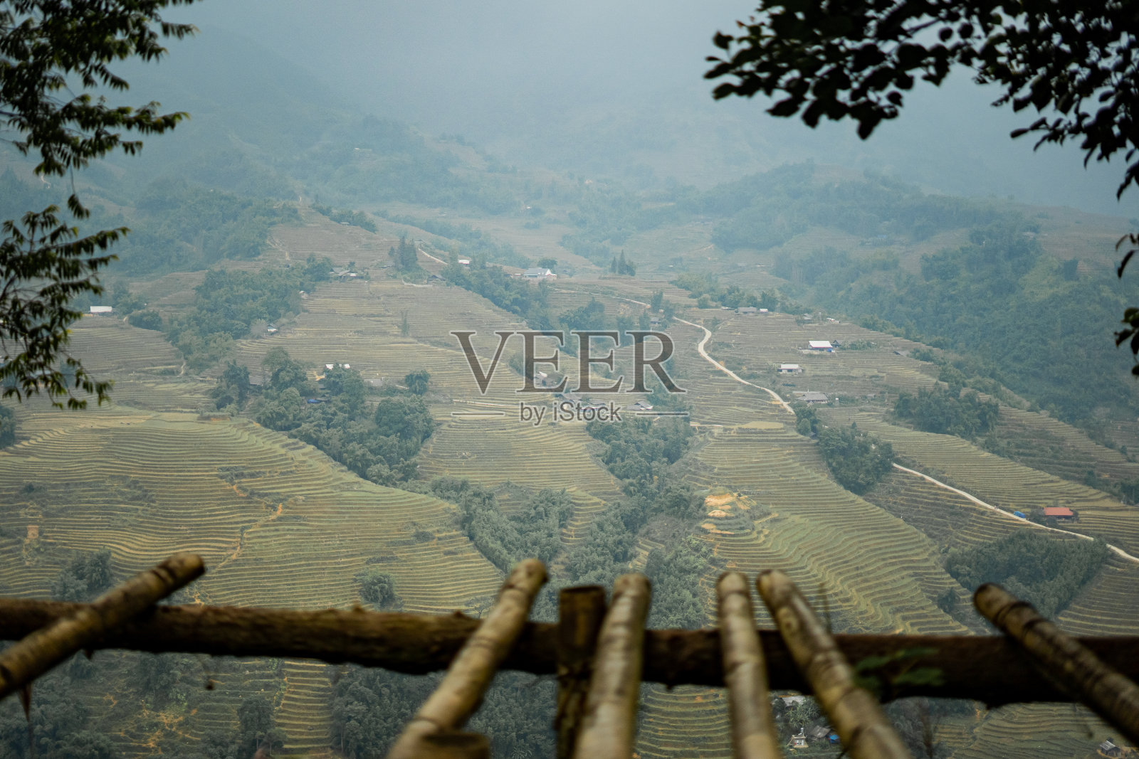 沙帕，越南雾山稻田照片摄影图片