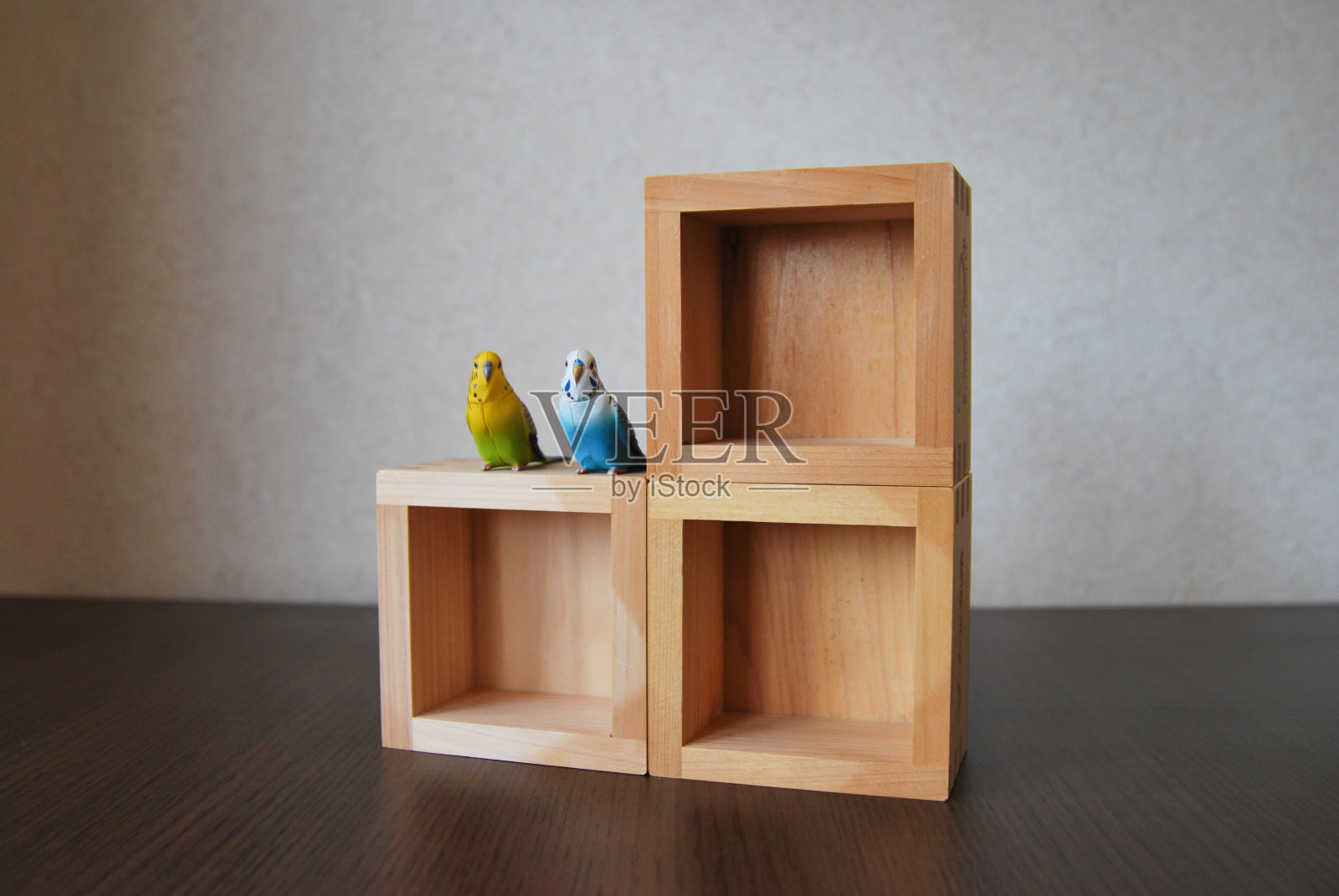 鹦鹉装饰品和木盒照片摄影图片